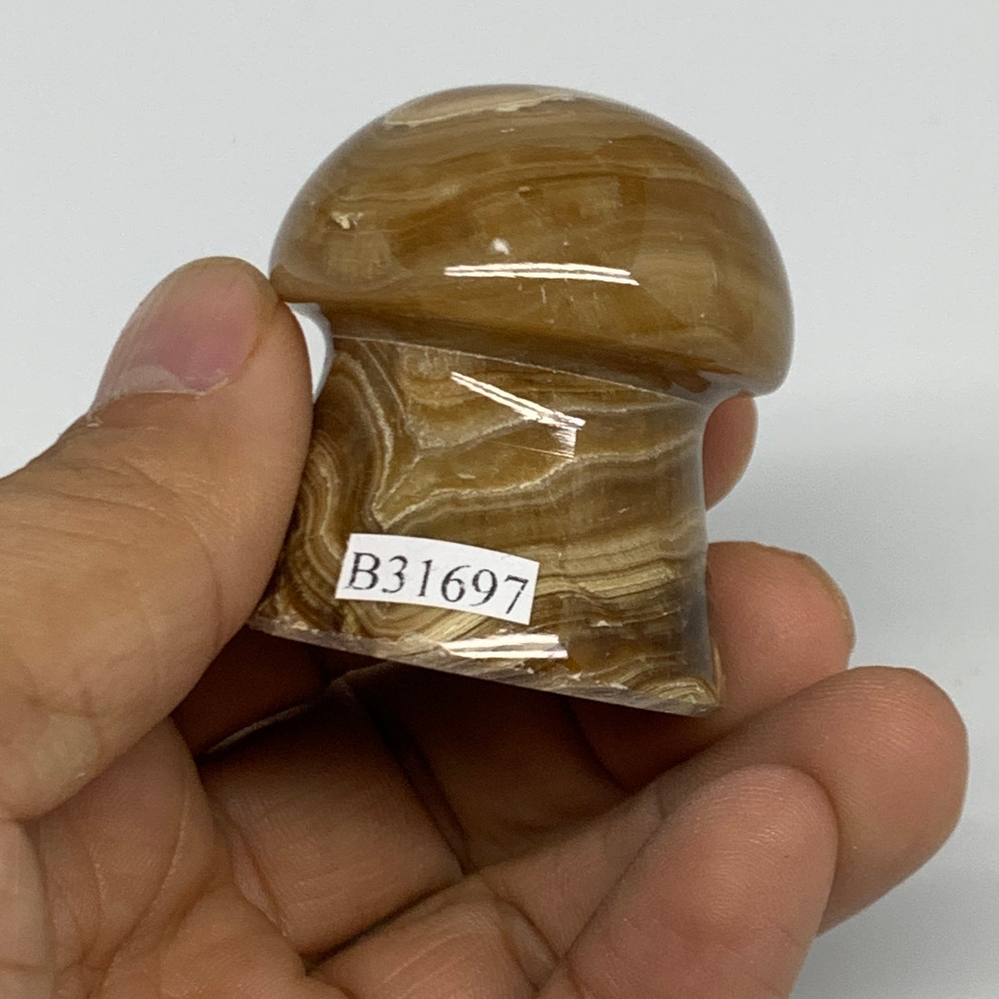 90.4g, 1.6x1.4", Chocolate Calcite Mushroom 2 Pieces bonded @Pakistan, B31697