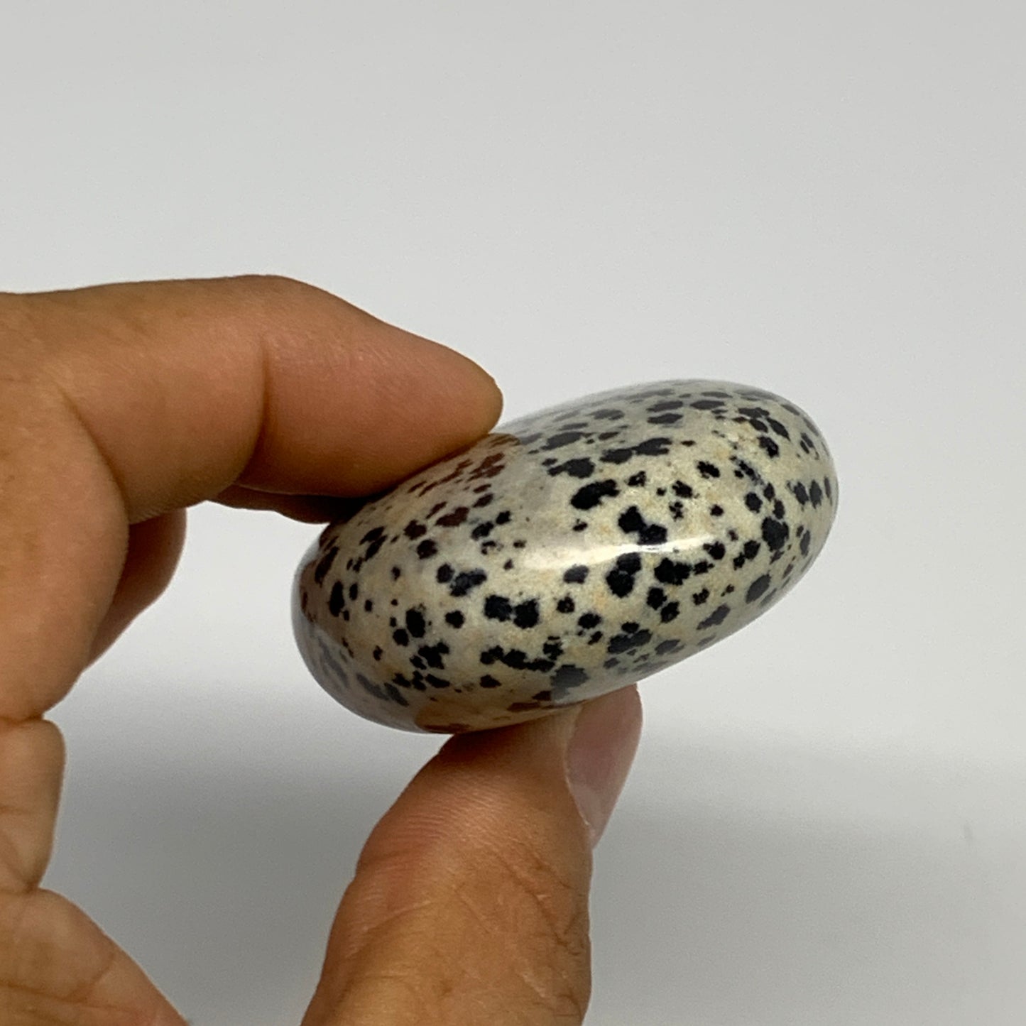 80.6g, 2.2"x1.7"x0.8", Natural Dalmatian Jasper Palm-Stone @India, B29456