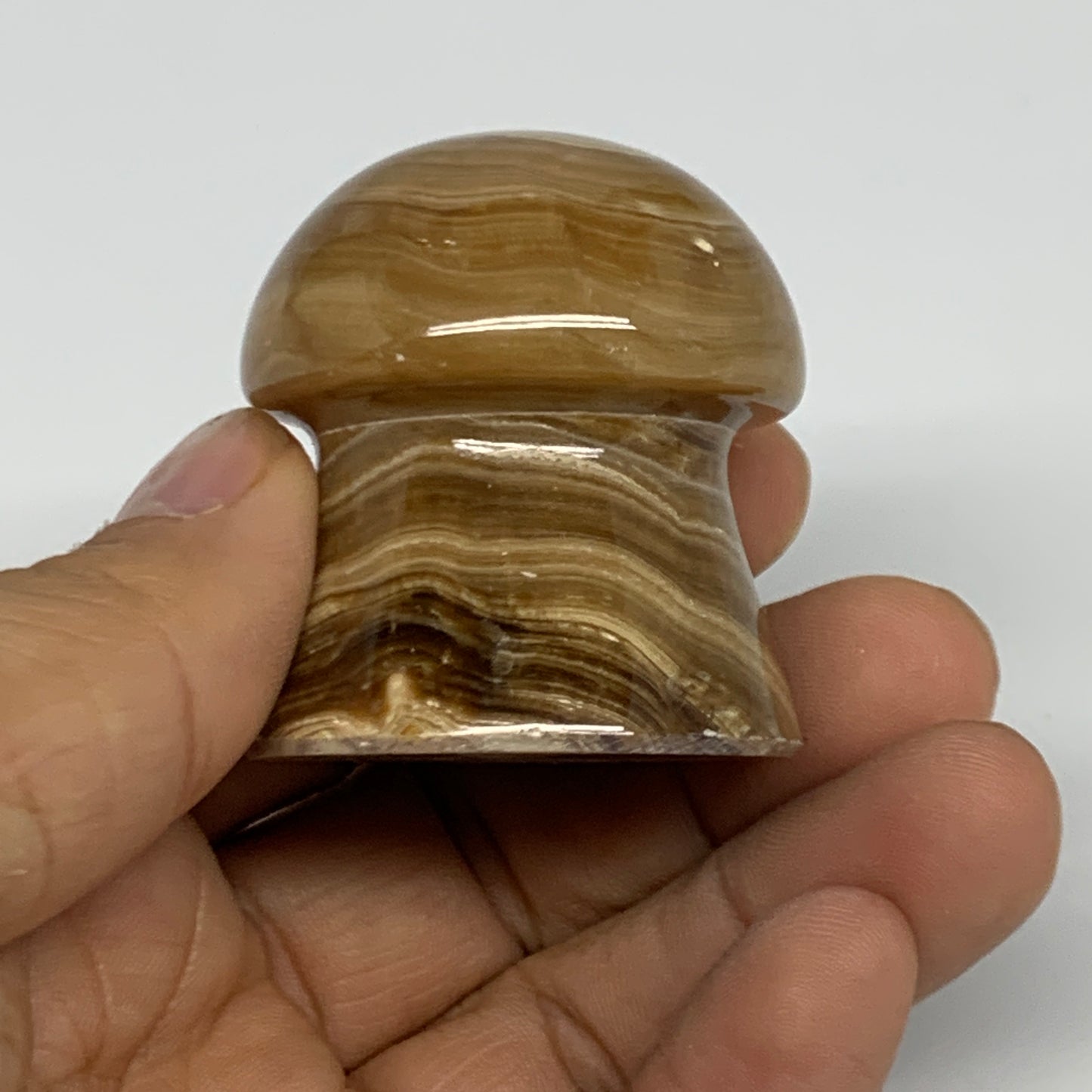 90.4g, 1.6x1.4", Chocolate Calcite Mushroom 2 Pieces bonded @Pakistan, B31697