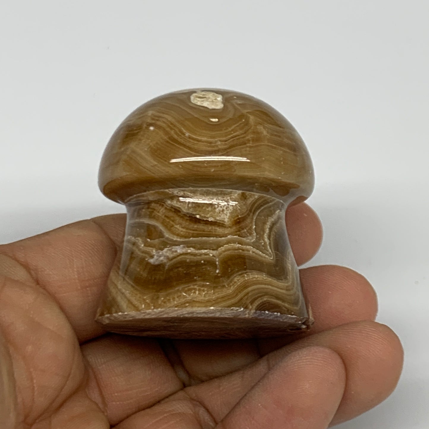 90.4g, 1.6x1.4", Chocolate Calcite Mushroom 2 Pieces bonded @Pakistan, B31697