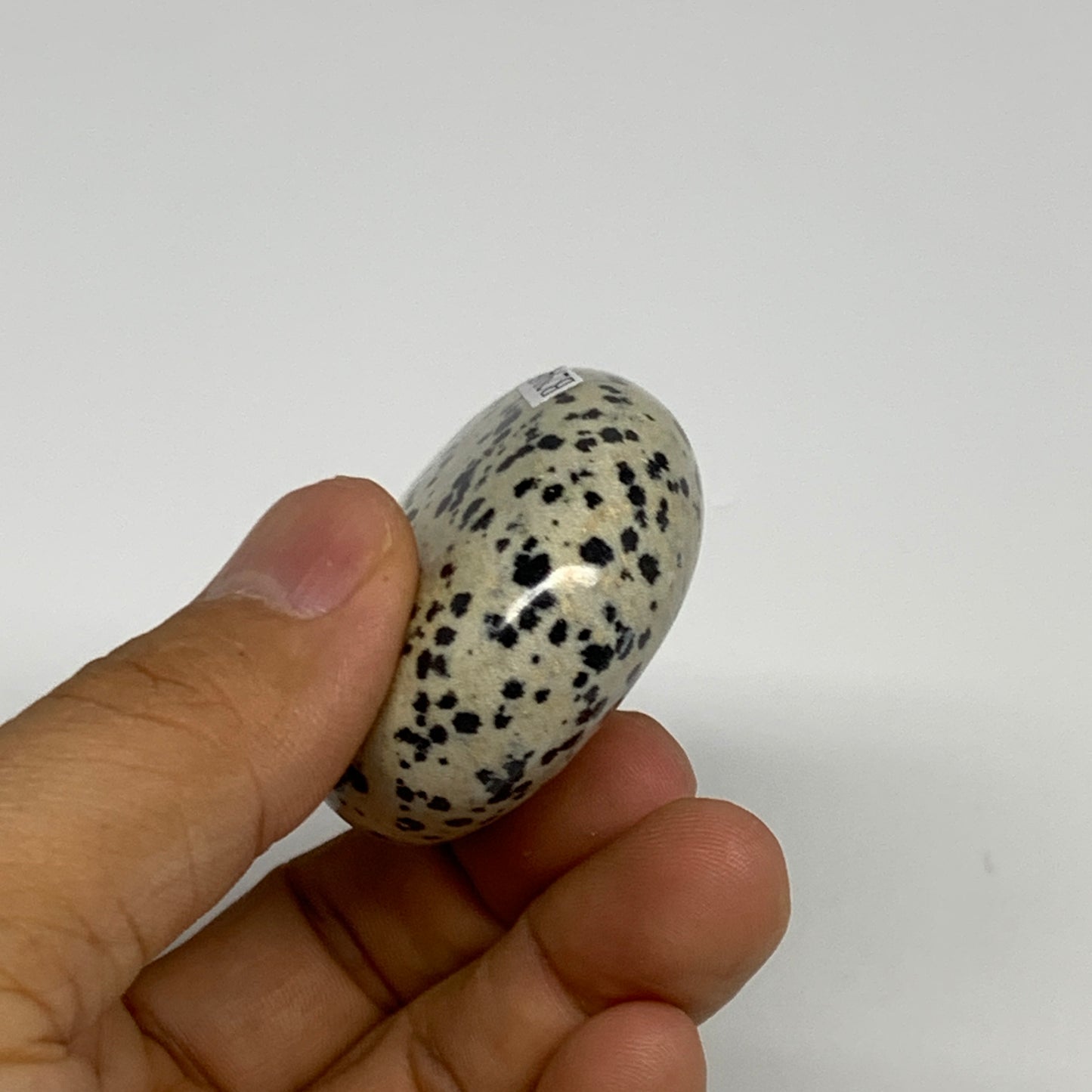 80.6g, 2.2"x1.7"x0.8", Natural Dalmatian Jasper Palm-Stone @India, B29456