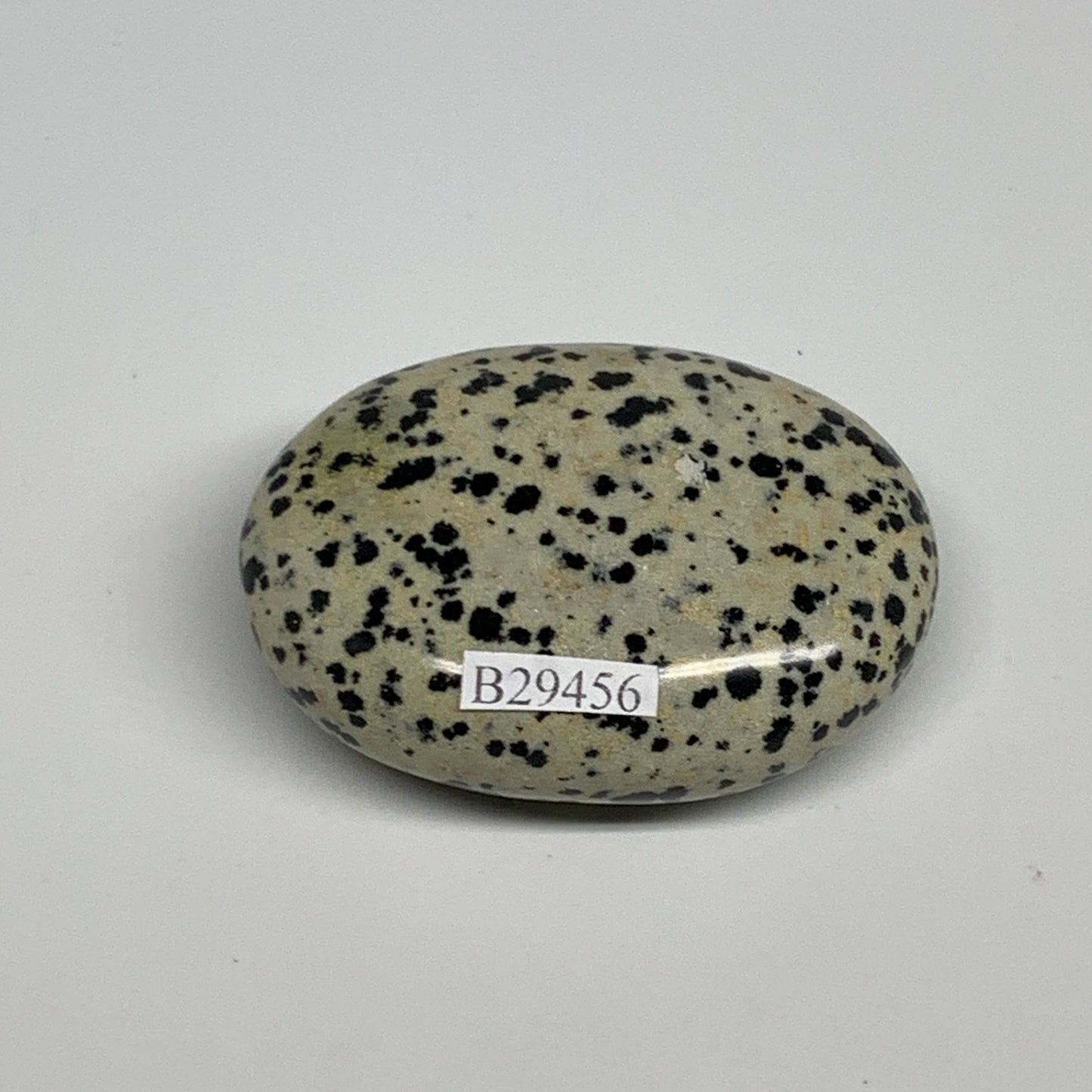 80.6g, 2.2"x1.7"x0.8", Natural Dalmatian Jasper Palm-Stone @India, B29456