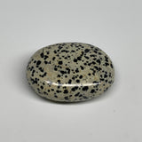 80.6g, 2.2"x1.7"x0.8", Natural Dalmatian Jasper Palm-Stone @India, B29456