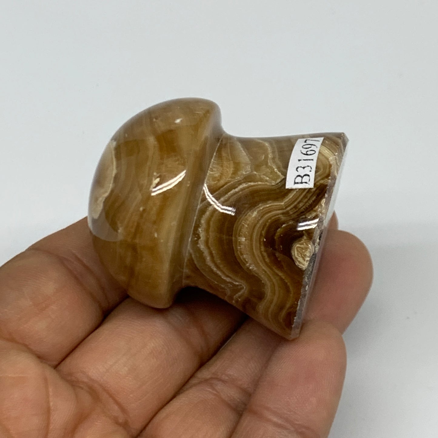 90.4g, 1.6x1.4", Chocolate Calcite Mushroom 2 Pieces bonded @Pakistan, B31697