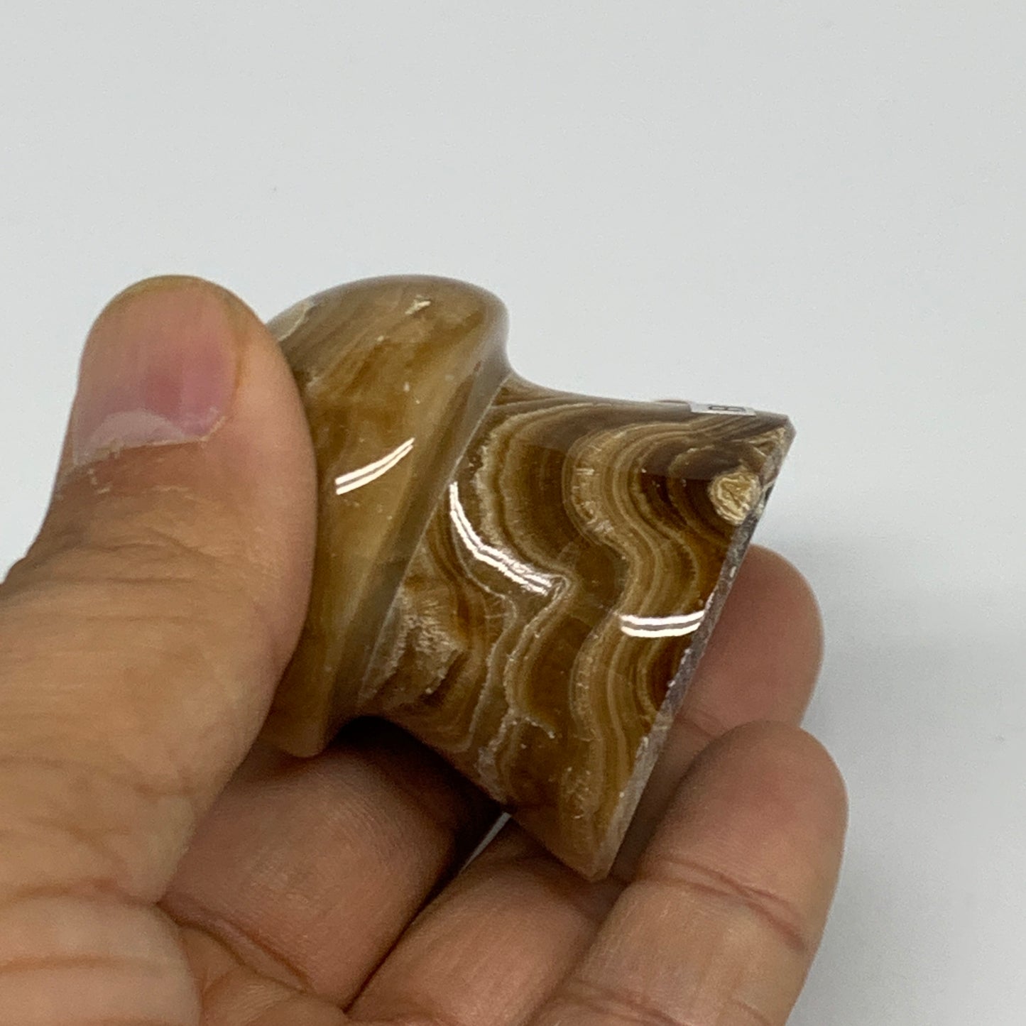 90.4g, 1.6x1.4", Chocolate Calcite Mushroom 2 Pieces bonded @Pakistan, B31697