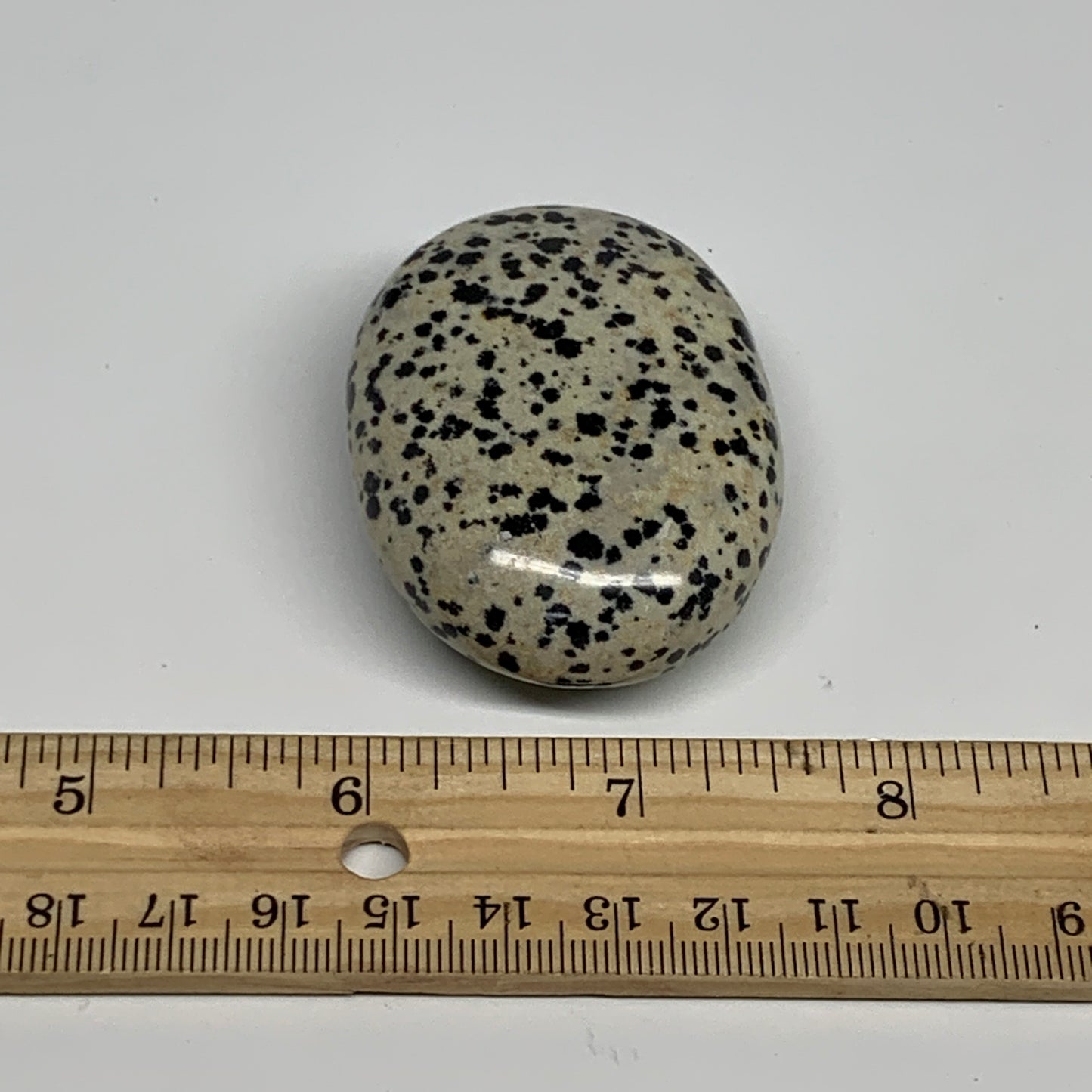 80.6g, 2.2"x1.7"x0.8", Natural Dalmatian Jasper Palm-Stone @India, B29456