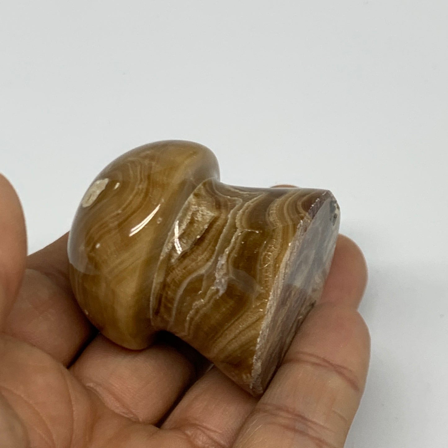90.4g, 1.6x1.4", Chocolate Calcite Mushroom 2 Pieces bonded @Pakistan, B31697