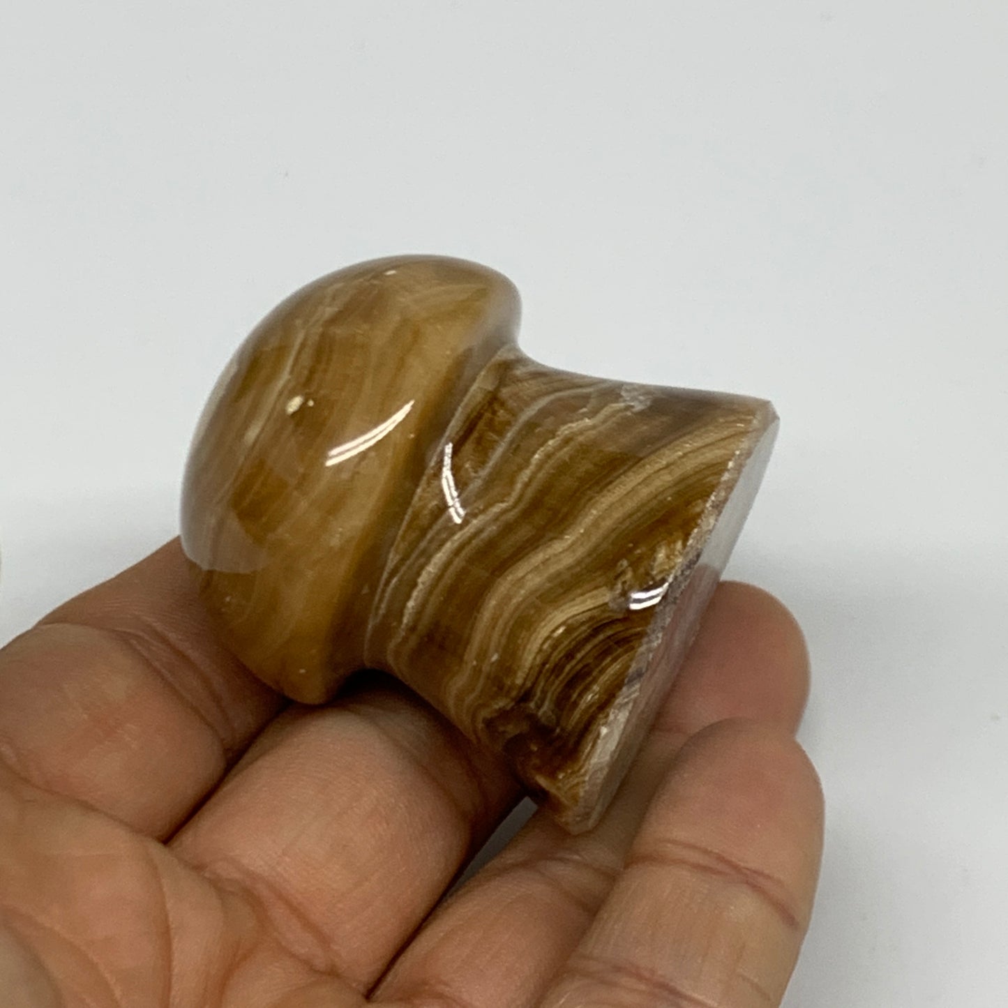 90.4g, 1.6x1.4", Chocolate Calcite Mushroom 2 Pieces bonded @Pakistan, B31697