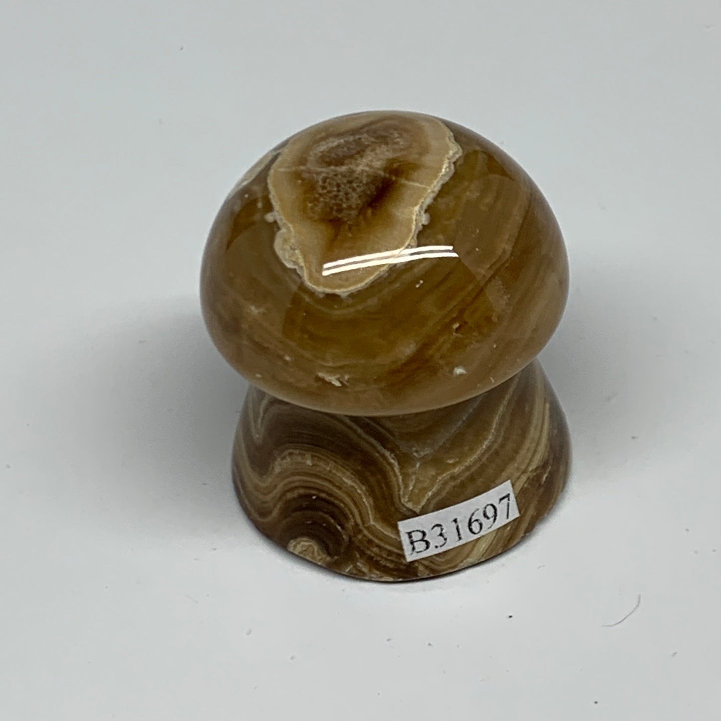 90.4g, 1.6x1.4", Chocolate Calcite Mushroom 2 Pieces bonded @Pakistan, B31697