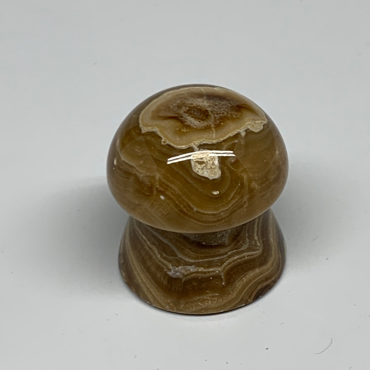 90.4g, 1.6x1.4", Chocolate Calcite Mushroom 2 Pieces bonded @Pakistan, B31697