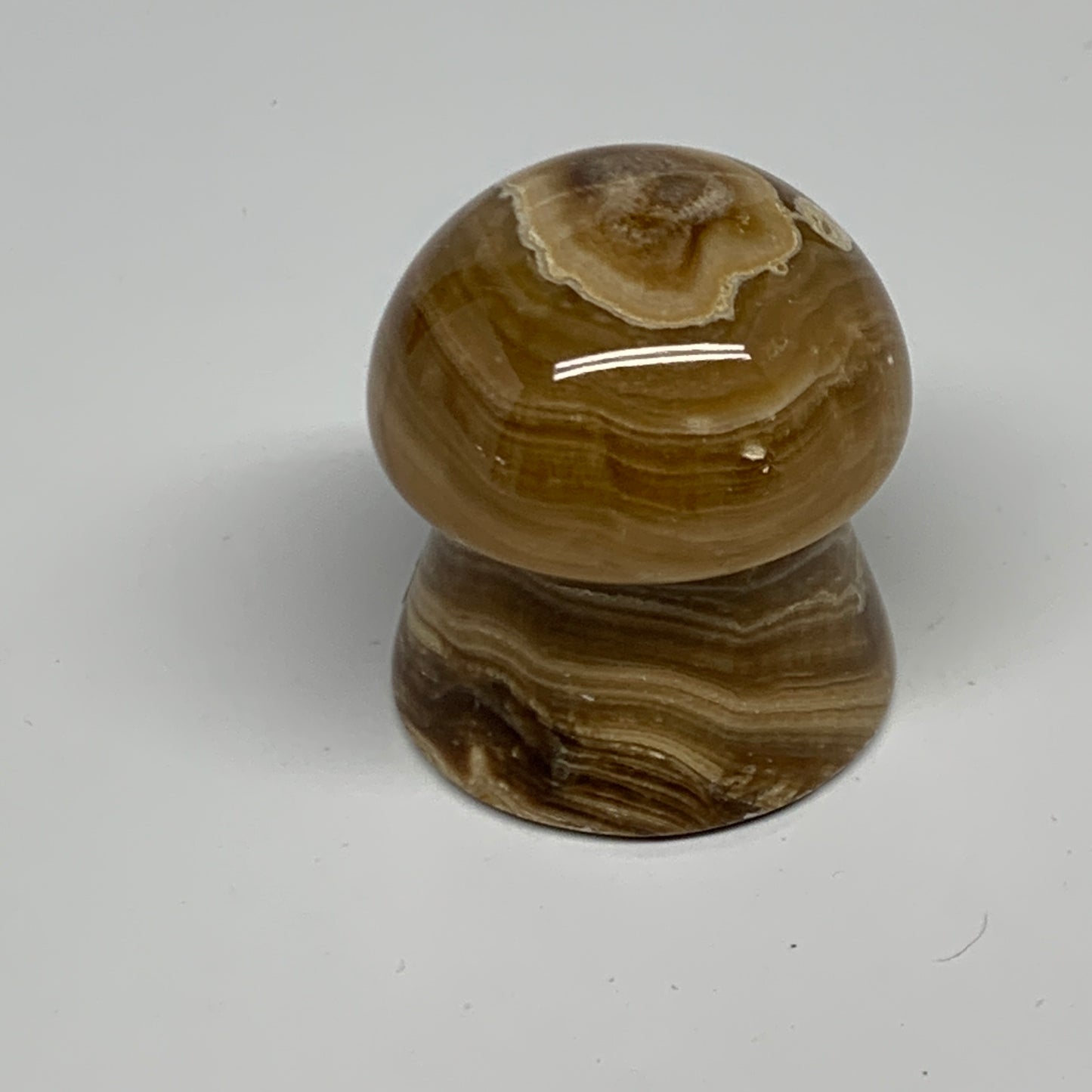 90.4g, 1.6x1.4", Chocolate Calcite Mushroom 2 Pieces bonded @Pakistan, B31697