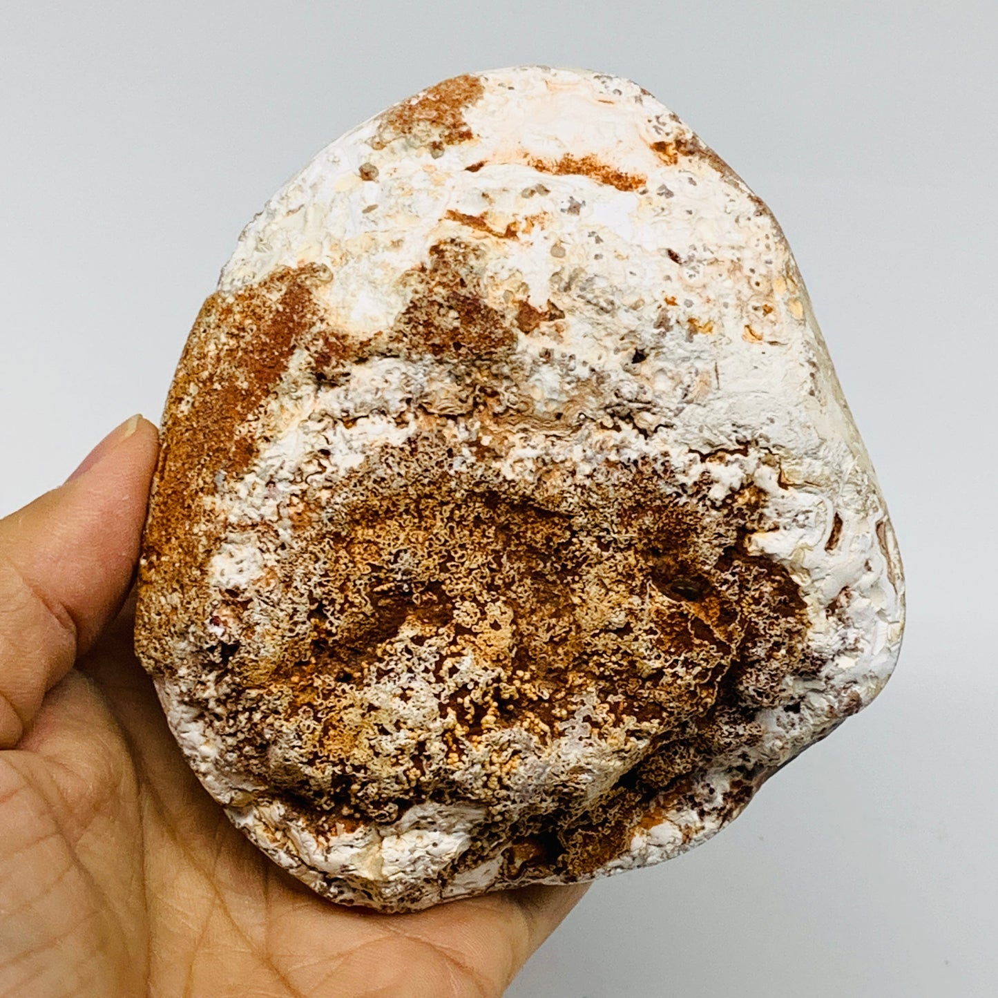 1.62 lbs, 4"x3.7"x2.5" Orca Agate Freeform Reiki Energy Crystal Reiki, B37370