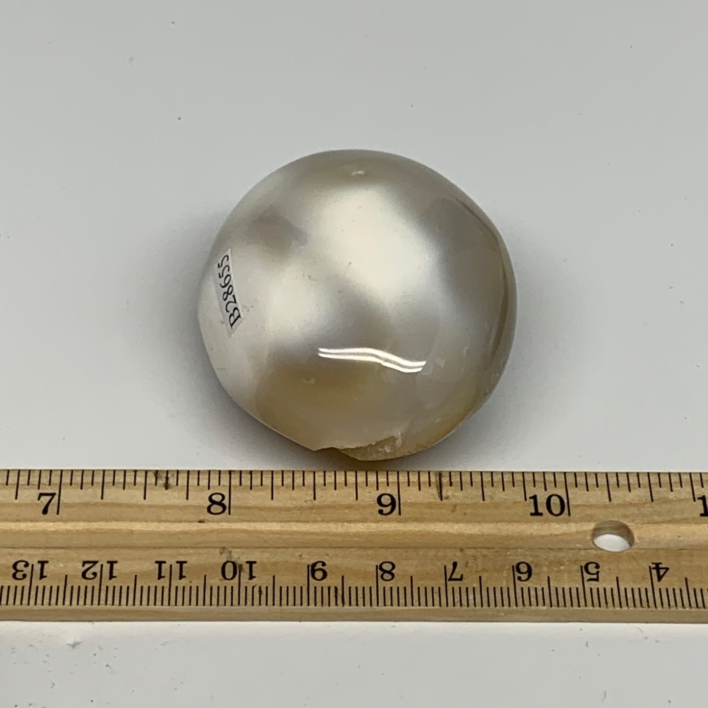 120.2g, 2.3"x1.9"x1.3" Orca Agate Palm-Stone Reiki Energy Crystal Reiki, B28655