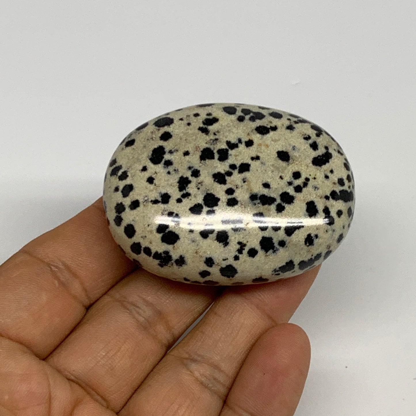74.1g, 2.1"x1.6"x0.8", Natural Dalmatian Jasper Palm-Stone @India, B29458