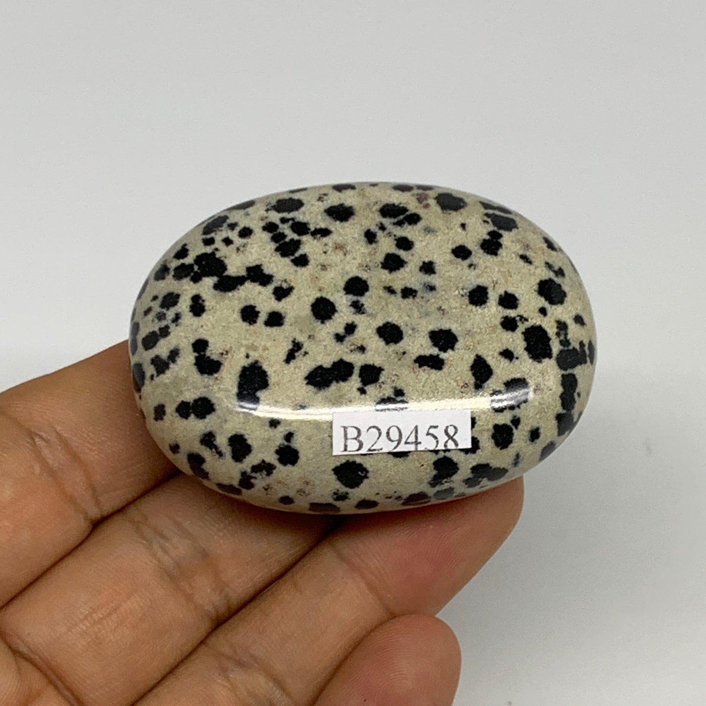 74.1g, 2.1"x1.6"x0.8", Natural Dalmatian Jasper Palm-Stone @India, B29458