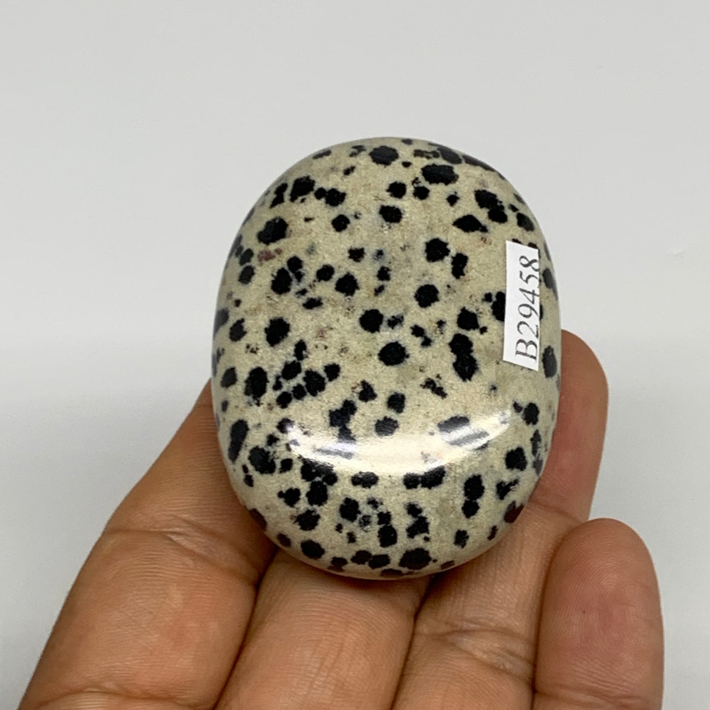 74.1g, 2.1"x1.6"x0.8", Natural Dalmatian Jasper Palm-Stone @India, B29458