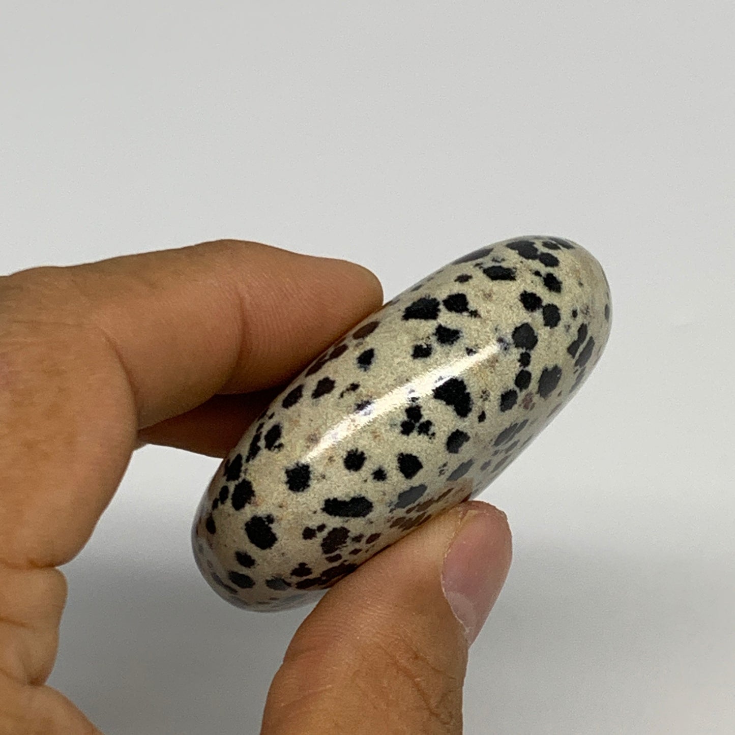 74.1g, 2.1"x1.6"x0.8", Natural Dalmatian Jasper Palm-Stone @India, B29458