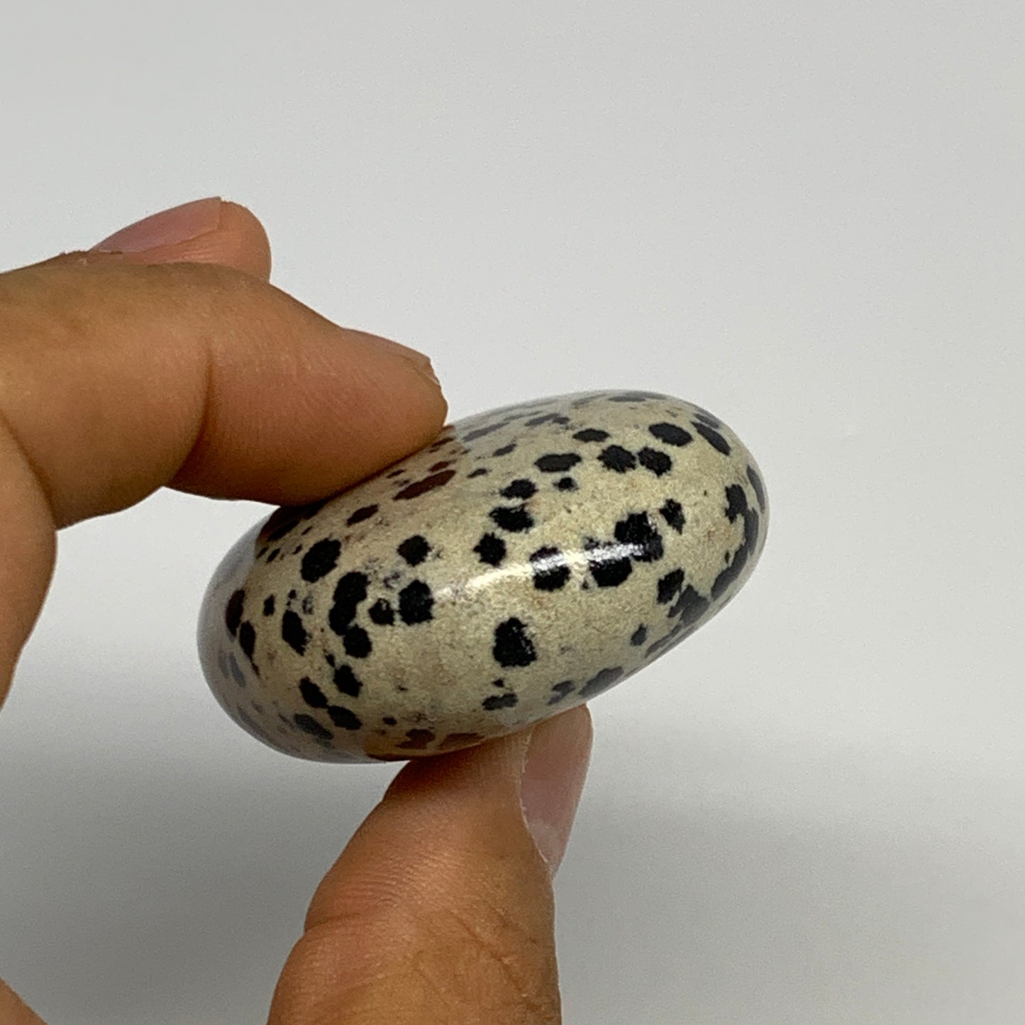 74.1g, 2.1"x1.6"x0.8", Natural Dalmatian Jasper Palm-Stone @India, B29458