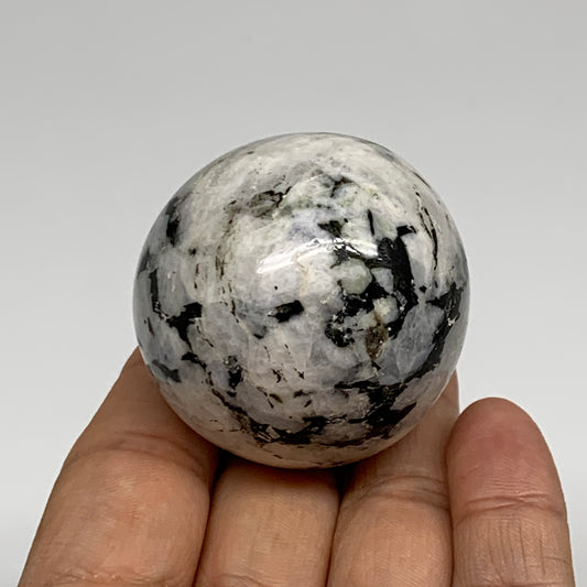 119.9g, 1.7"(43mm), Natural Rainbow Moonstone Sphere Ball Gemstone, B35151