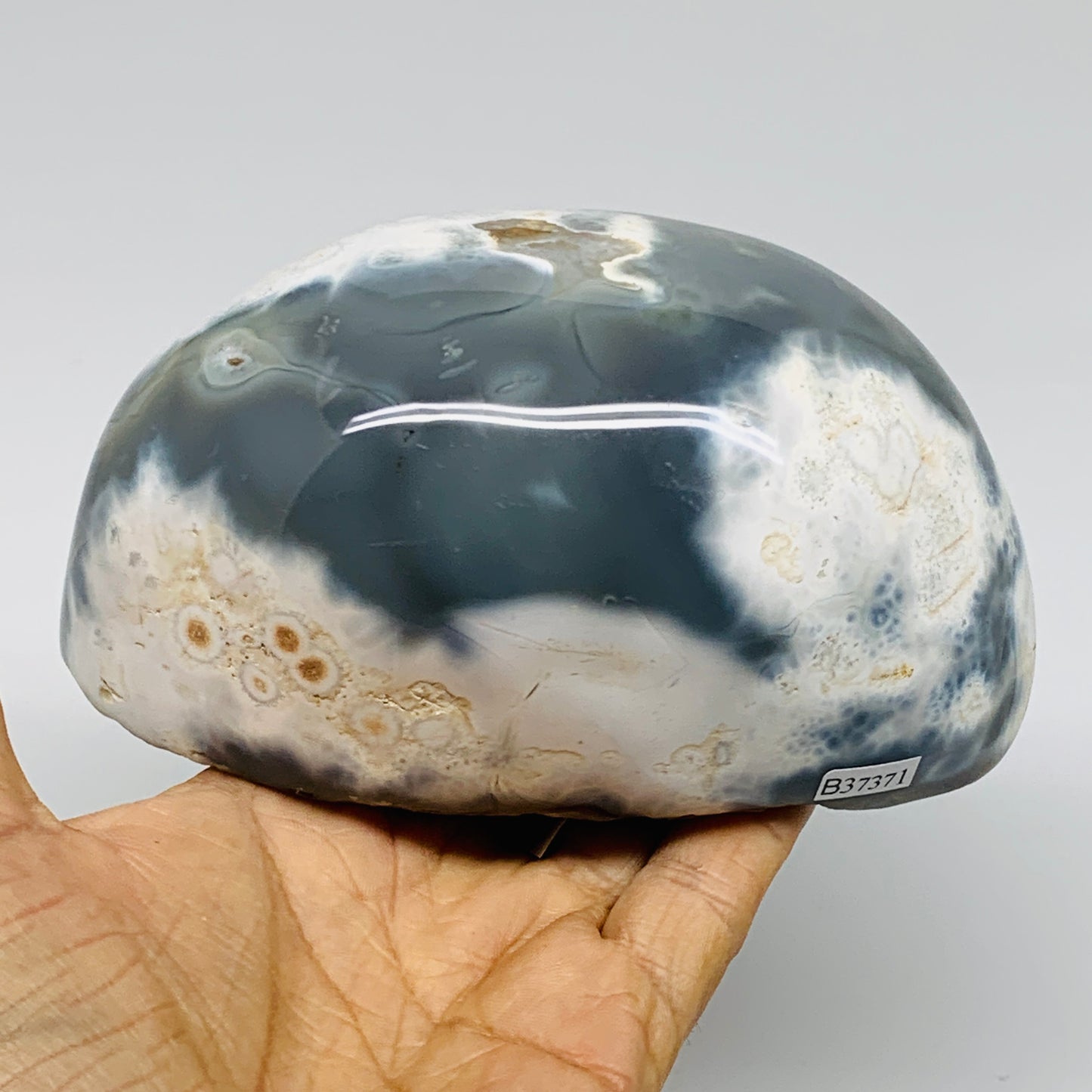 2.5 lbs, 5.3"x3.2"x2.6" Orca Agate Freeform Reiki Energy Crystal Reiki, B37371