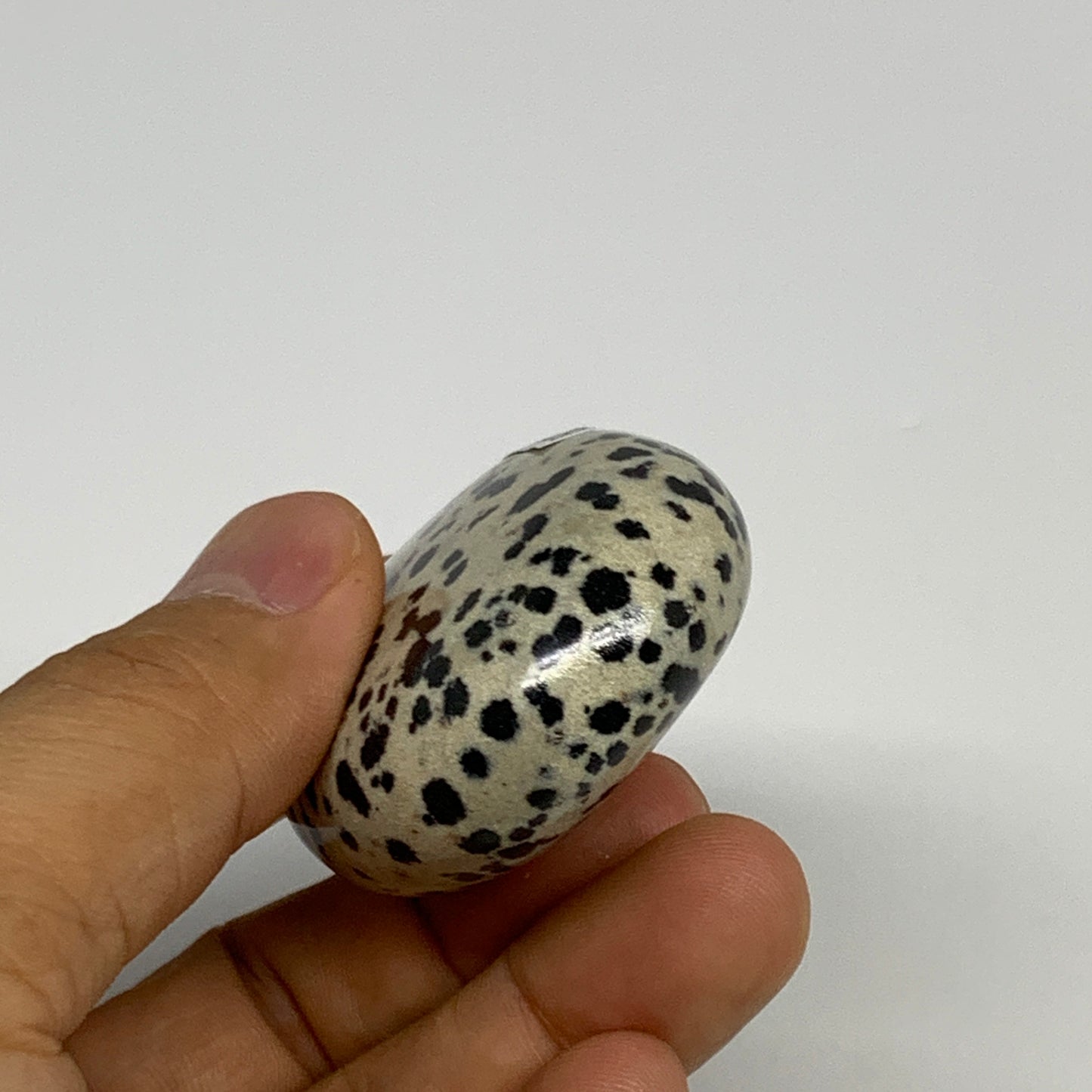 74.1g, 2.1"x1.6"x0.8", Natural Dalmatian Jasper Palm-Stone @India, B29458
