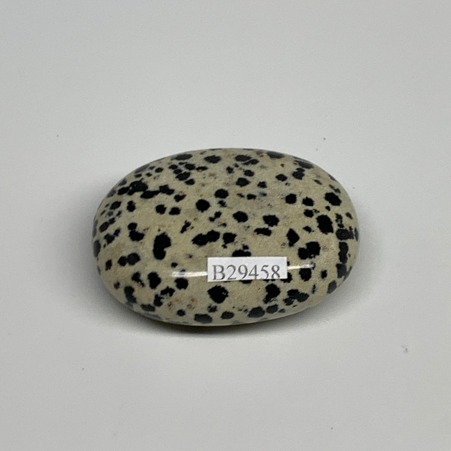 74.1g, 2.1"x1.6"x0.8", Natural Dalmatian Jasper Palm-Stone @India, B29458