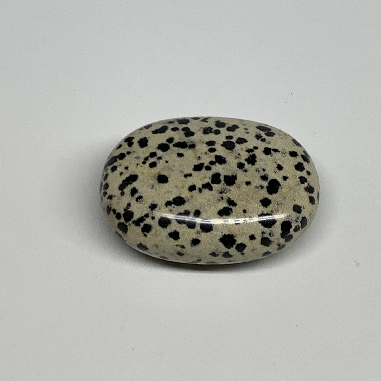 74.1g, 2.1"x1.6"x0.8", Natural Dalmatian Jasper Palm-Stone @India, B29458