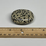 74.1g, 2.1"x1.6"x0.8", Natural Dalmatian Jasper Palm-Stone @India, B29458