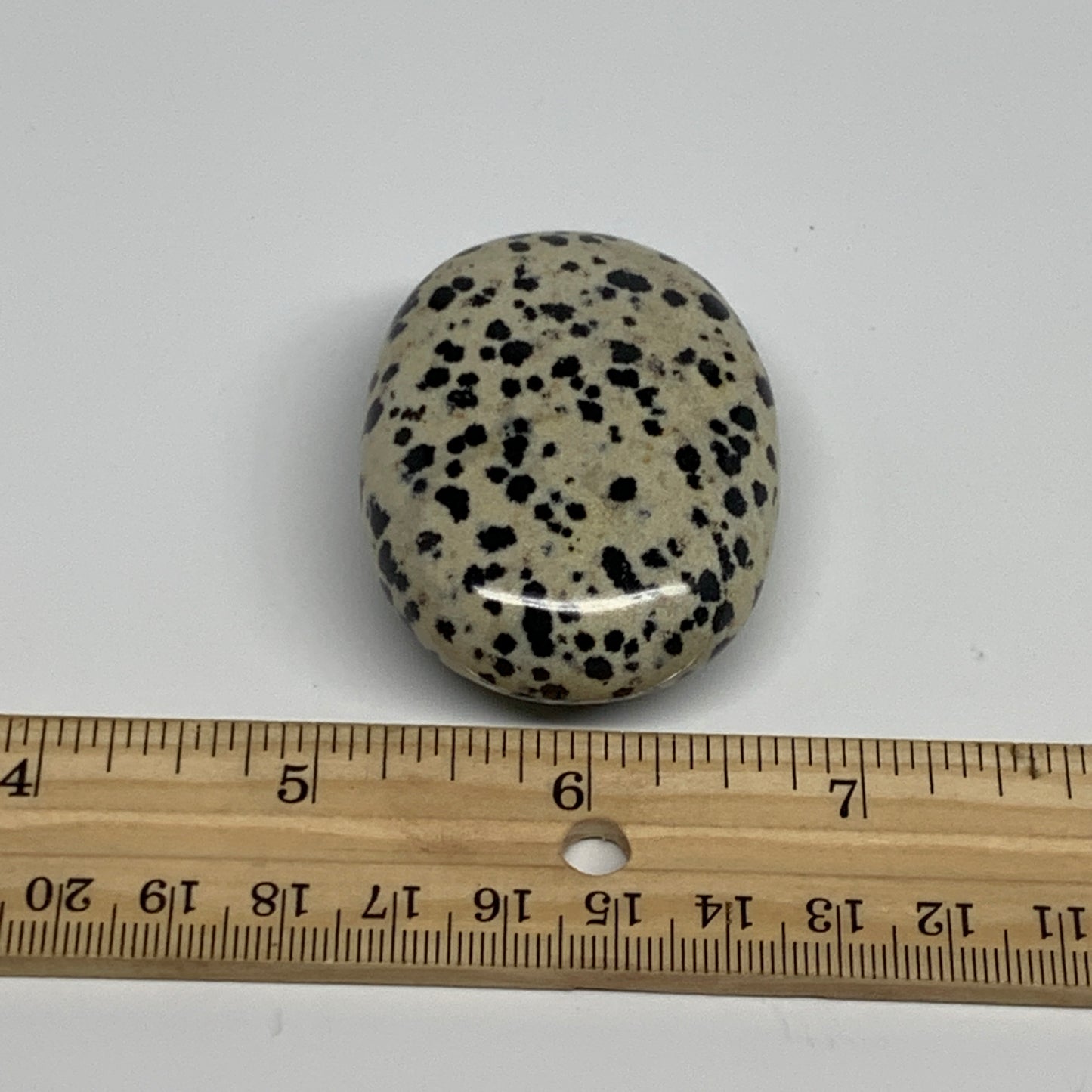 74.1g, 2.1"x1.6"x0.8", Natural Dalmatian Jasper Palm-Stone @India, B29458