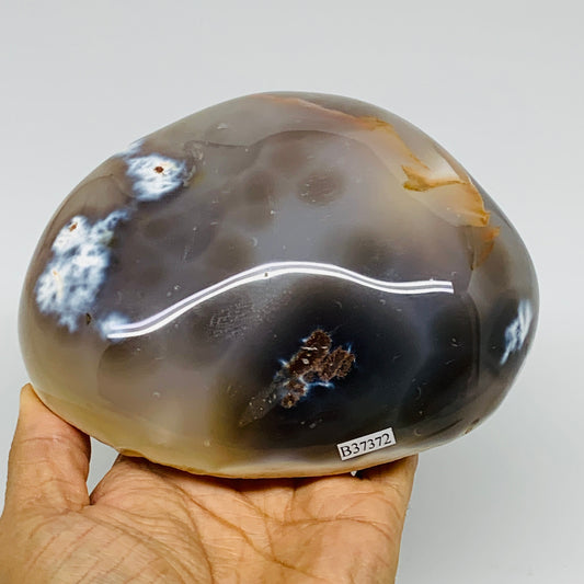 2 lbs, 5.5"x4.6"x1.9" Orca Agate Freeform Reiki Energy Crystal Reiki, B37372