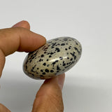 82.1g, 2.2"x1.7"x0.9", Natural Dalmatian Jasper Palm-Stone @India, B29459