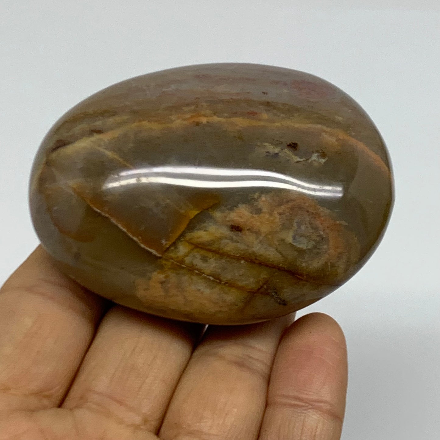 157.3g, 2.7"x2.1"x1.3" Natural Ocean Jasper Palm-Stone Orbicular Jasper, B38223