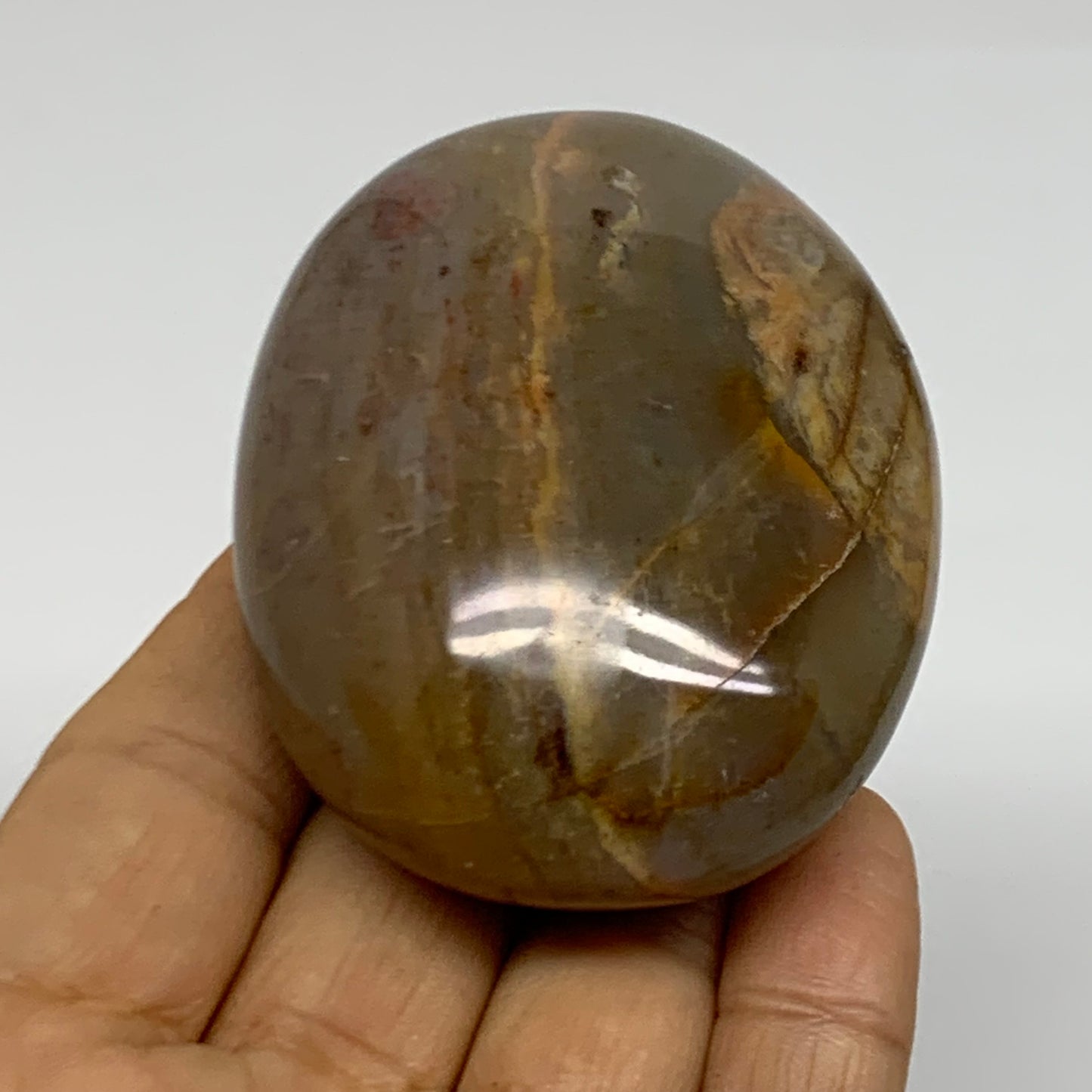 157.3g, 2.7"x2.1"x1.3" Natural Ocean Jasper Palm-Stone Orbicular Jasper, B38223