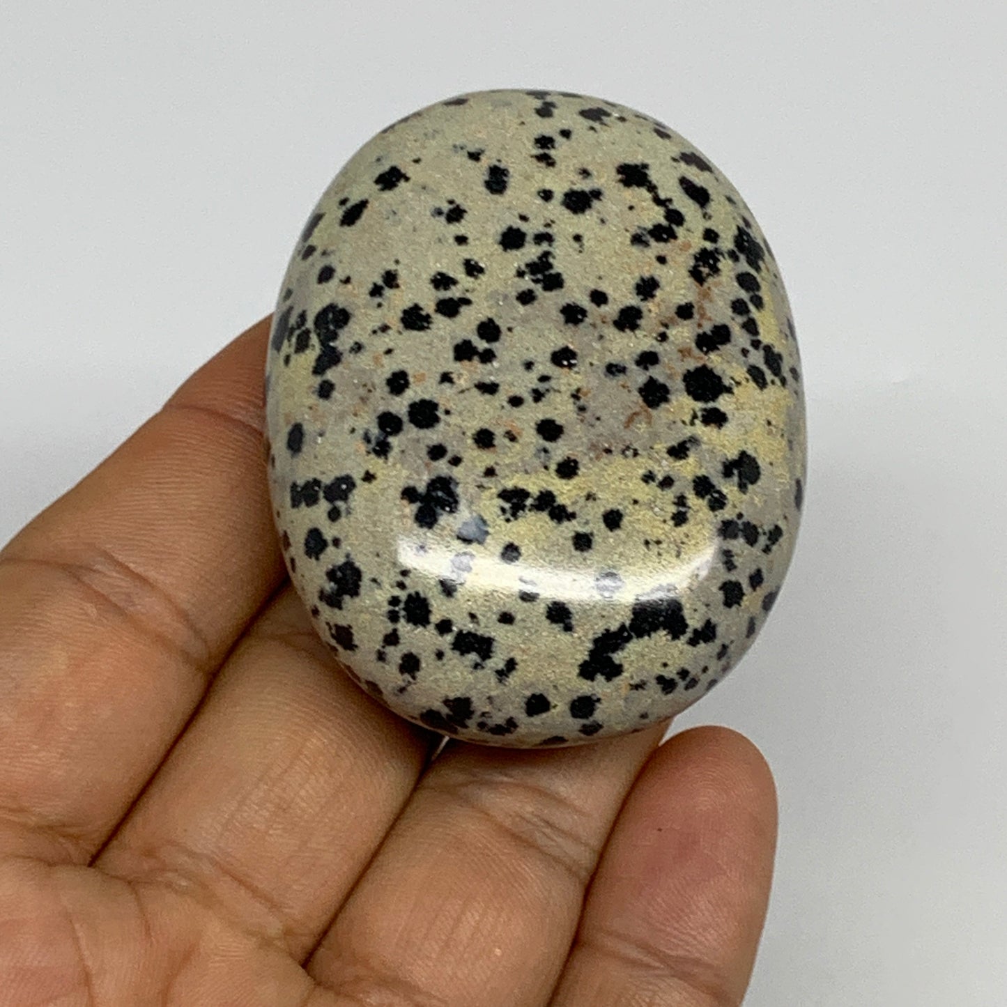 83.7g, 2.3"x1.7"x0.8", Natural Dalmatian Jasper Palm-Stone @India, B29460