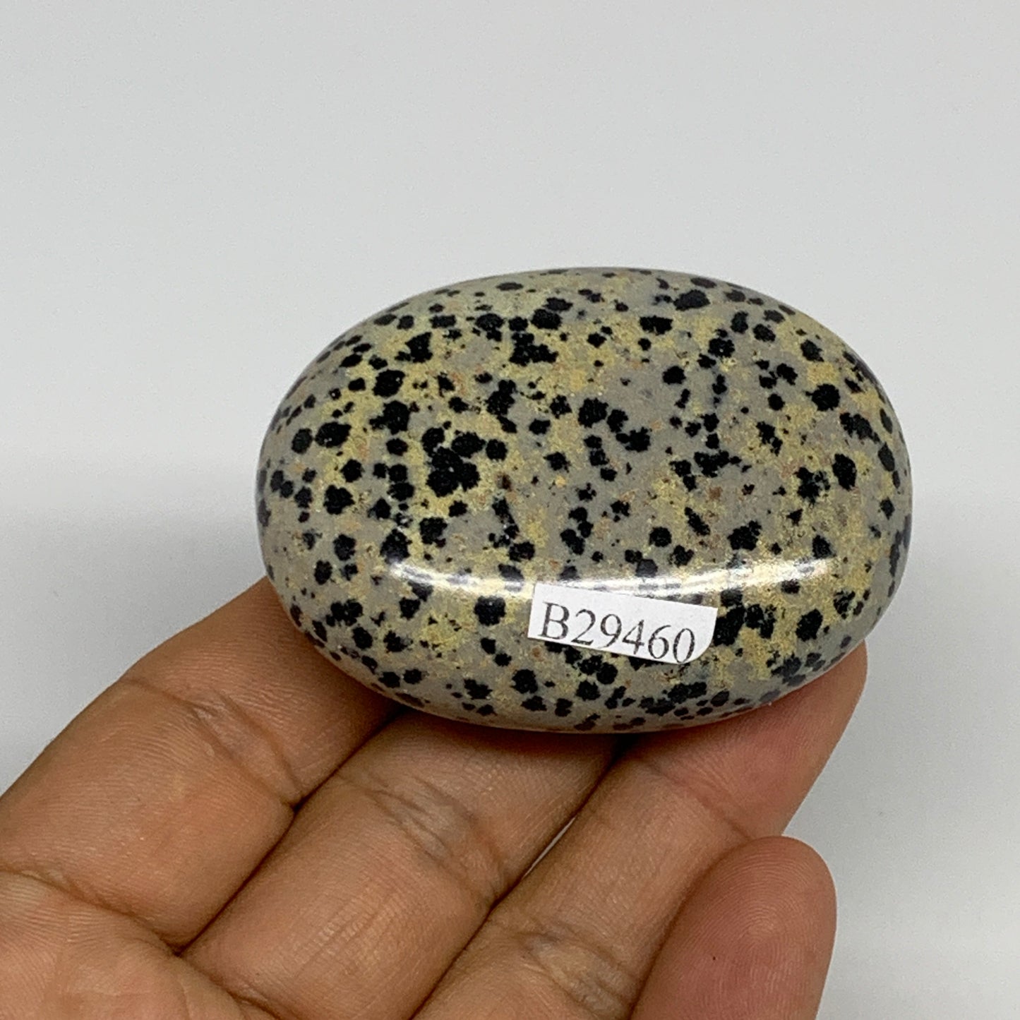 83.7g, 2.3"x1.7"x0.8", Natural Dalmatian Jasper Palm-Stone @India, B29460
