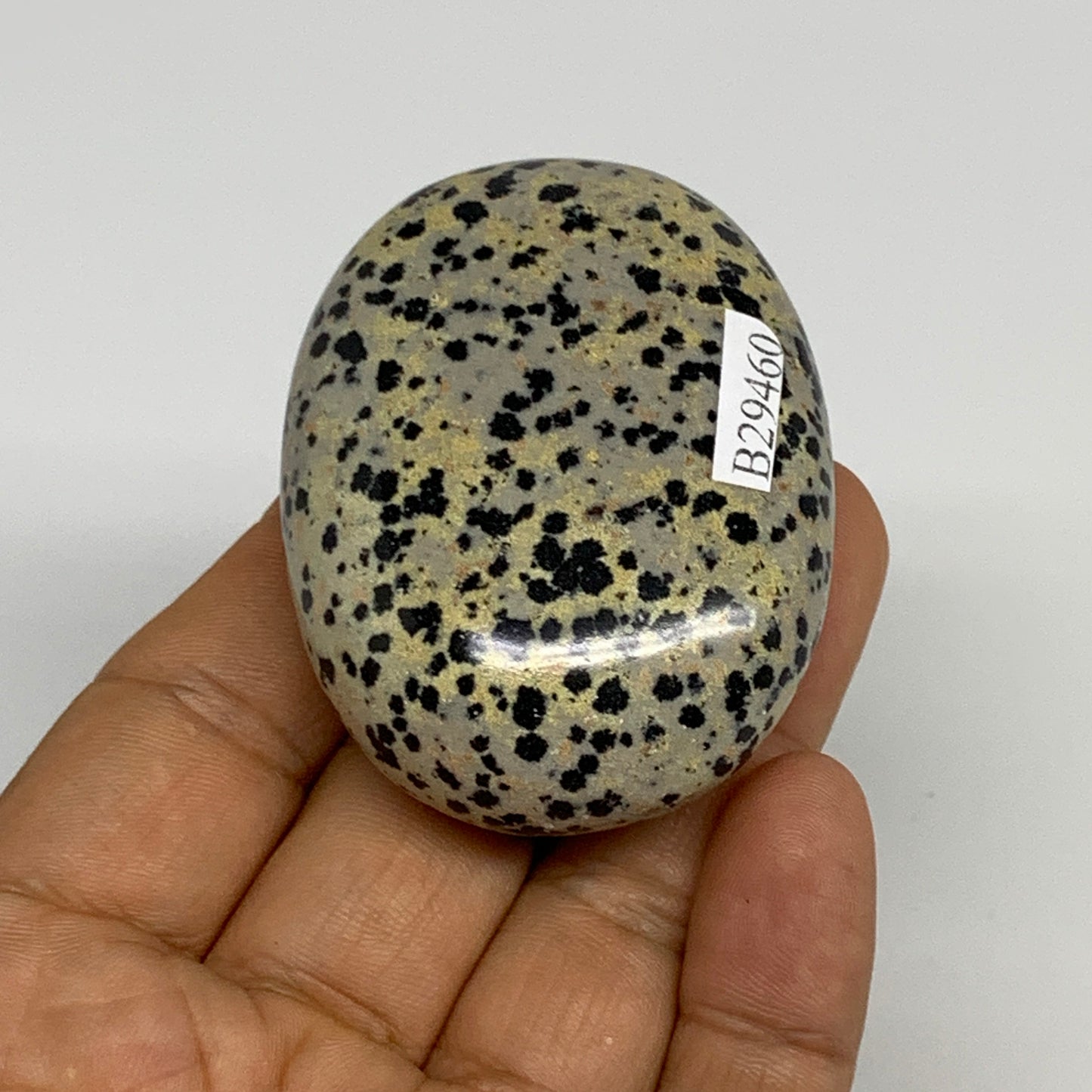 83.7g, 2.3"x1.7"x0.8", Natural Dalmatian Jasper Palm-Stone @India, B29460
