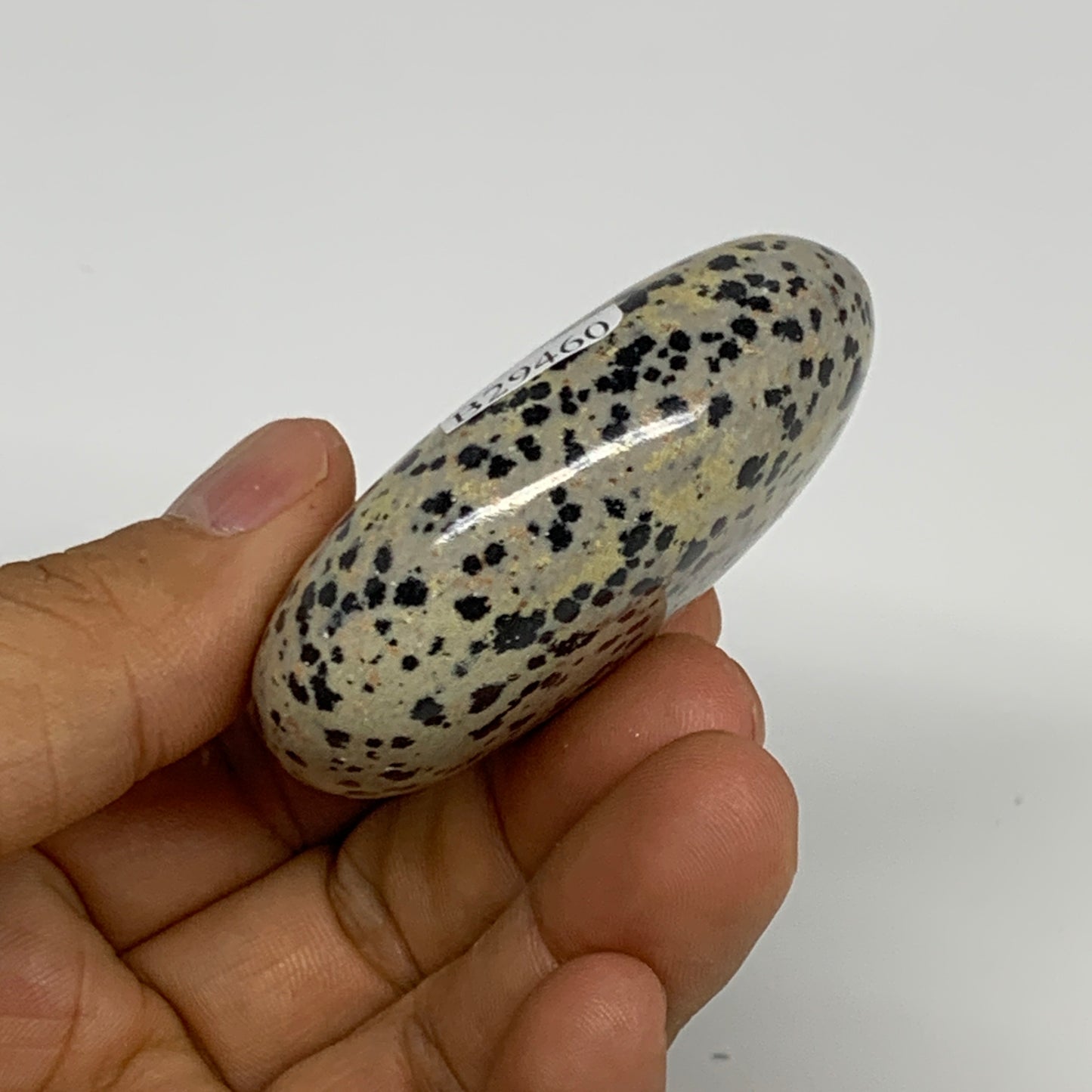 83.7g, 2.3"x1.7"x0.8", Natural Dalmatian Jasper Palm-Stone @India, B29460
