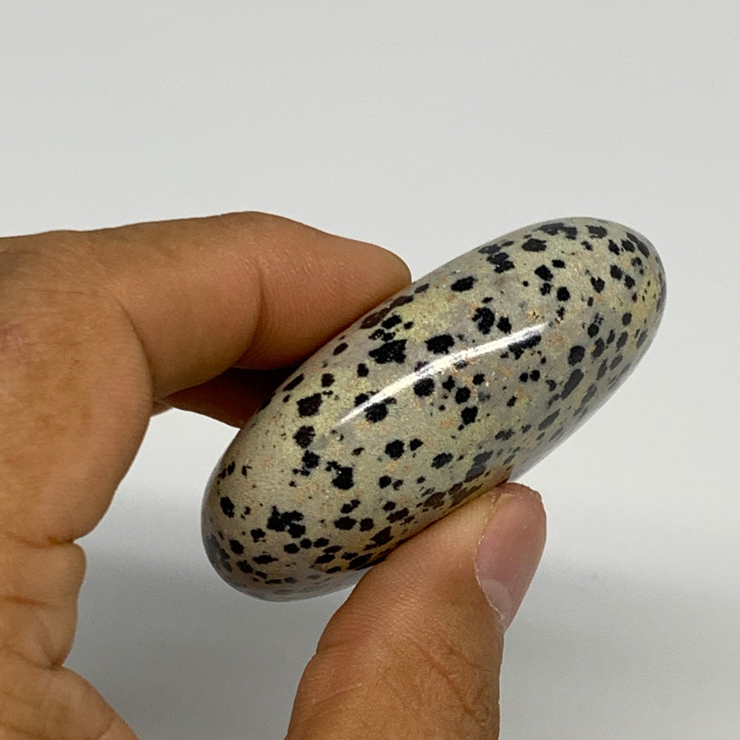 83.7g, 2.3"x1.7"x0.8", Natural Dalmatian Jasper Palm-Stone @India, B29460