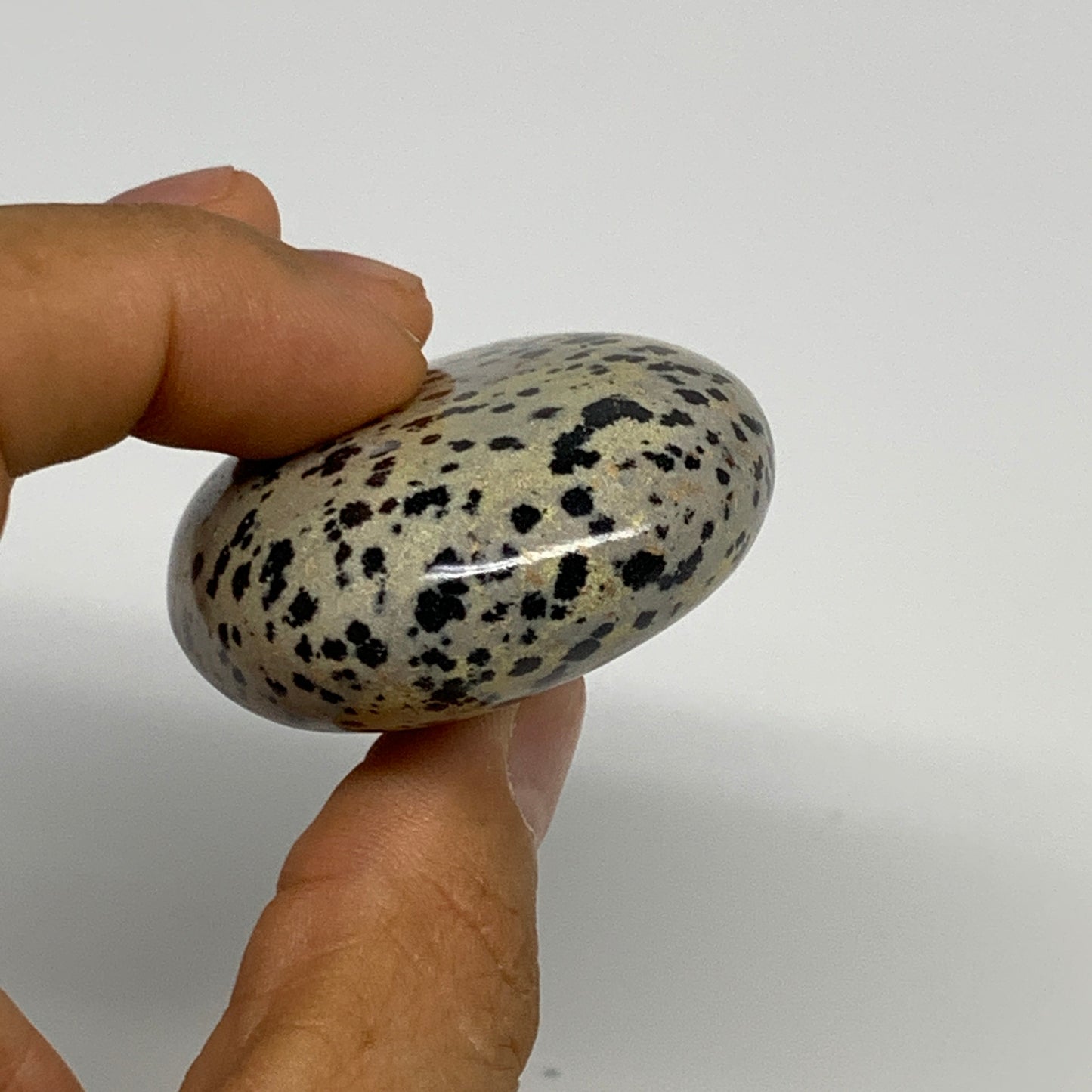 83.7g, 2.3"x1.7"x0.8", Natural Dalmatian Jasper Palm-Stone @India, B29460