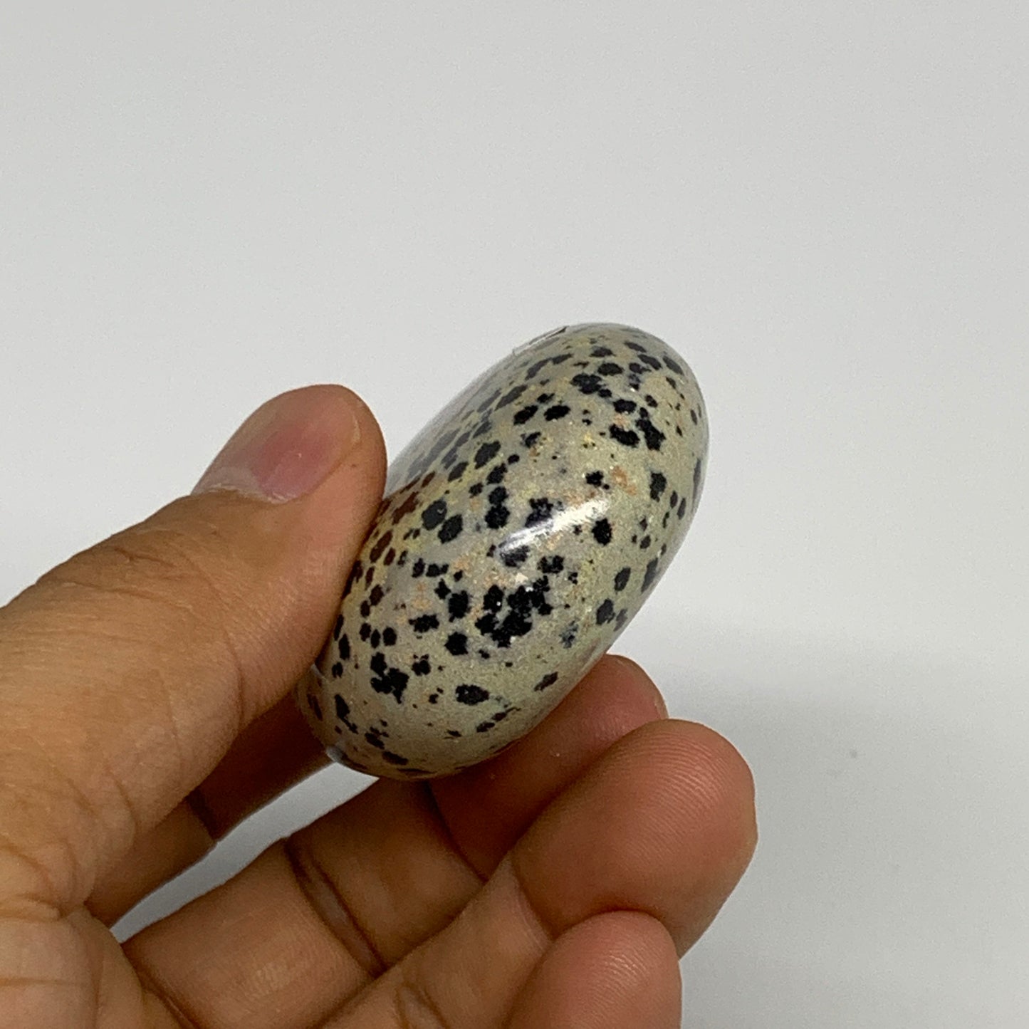 83.7g, 2.3"x1.7"x0.8", Natural Dalmatian Jasper Palm-Stone @India, B29460