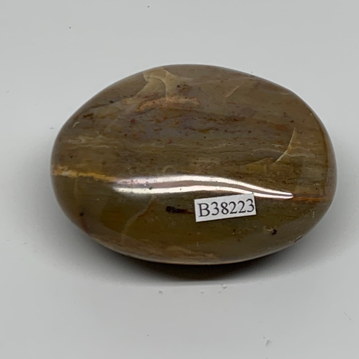 157.3g, 2.7"x2.1"x1.3" Natural Ocean Jasper Palm-Stone Orbicular Jasper, B38223