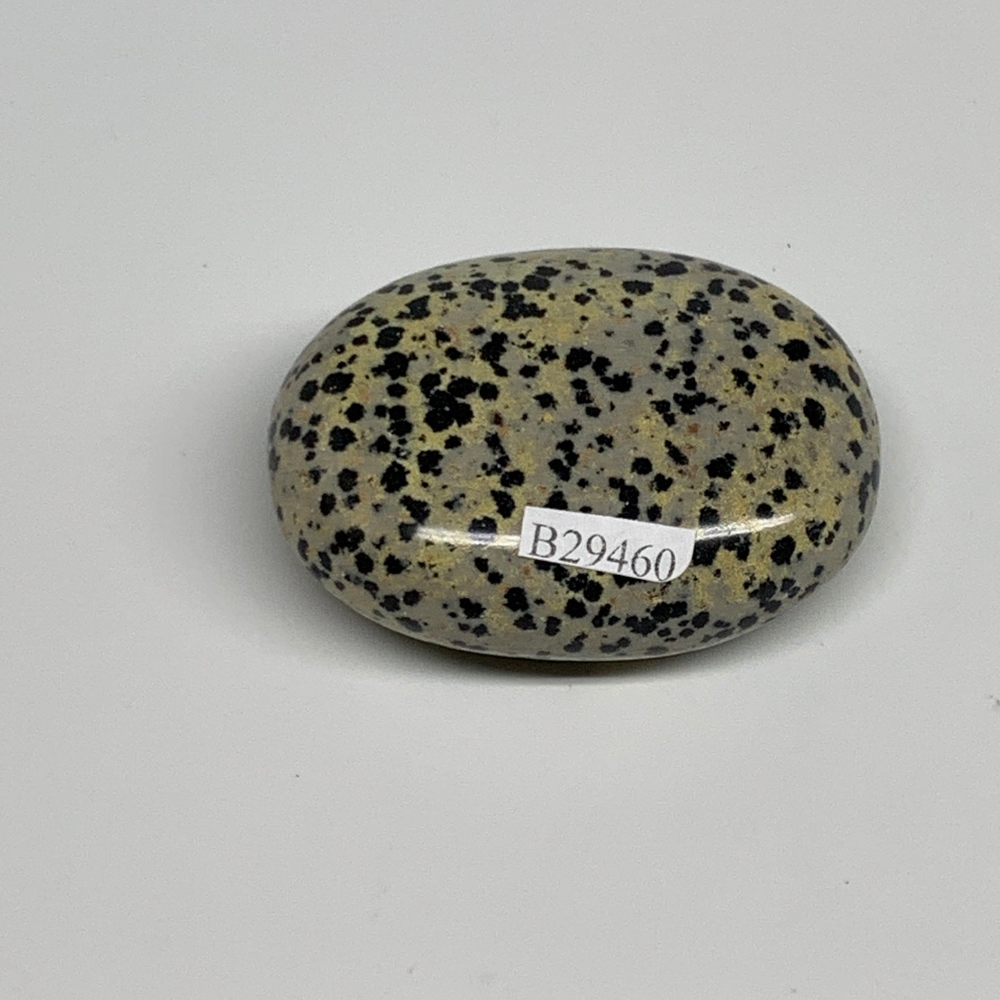 83.7g, 2.3"x1.7"x0.8", Natural Dalmatian Jasper Palm-Stone @India, B29460