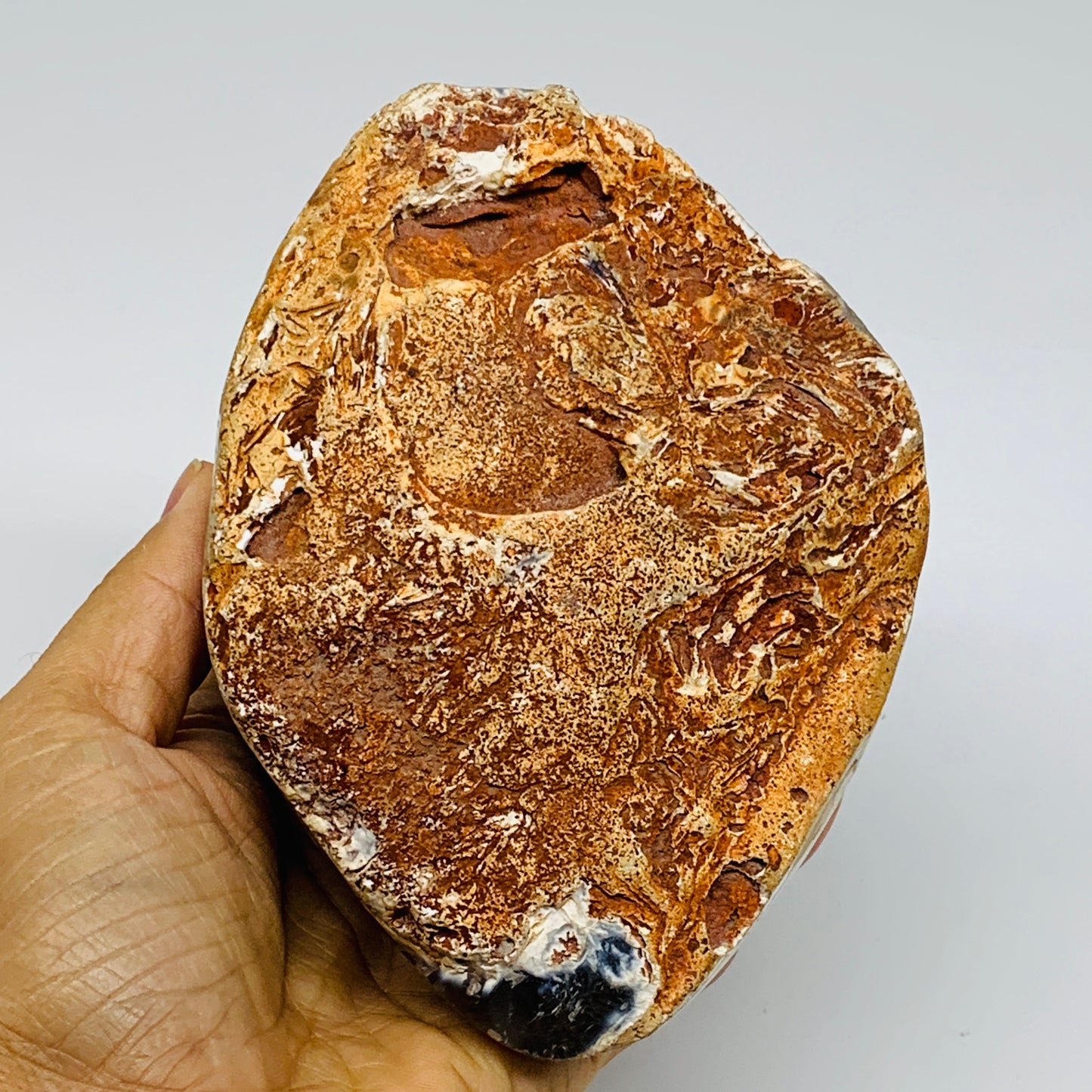 2.68 lbs, 5.6"x4"x2.9" Orca Agate Freeform Reiki Energy Crystal Reiki, B37373