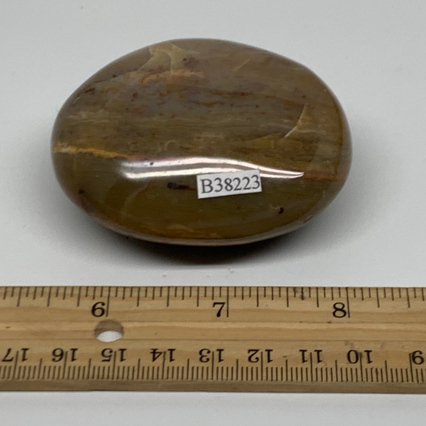157.3g, 2.7"x2.1"x1.3" Natural Ocean Jasper Palm-Stone Orbicular Jasper, B38223