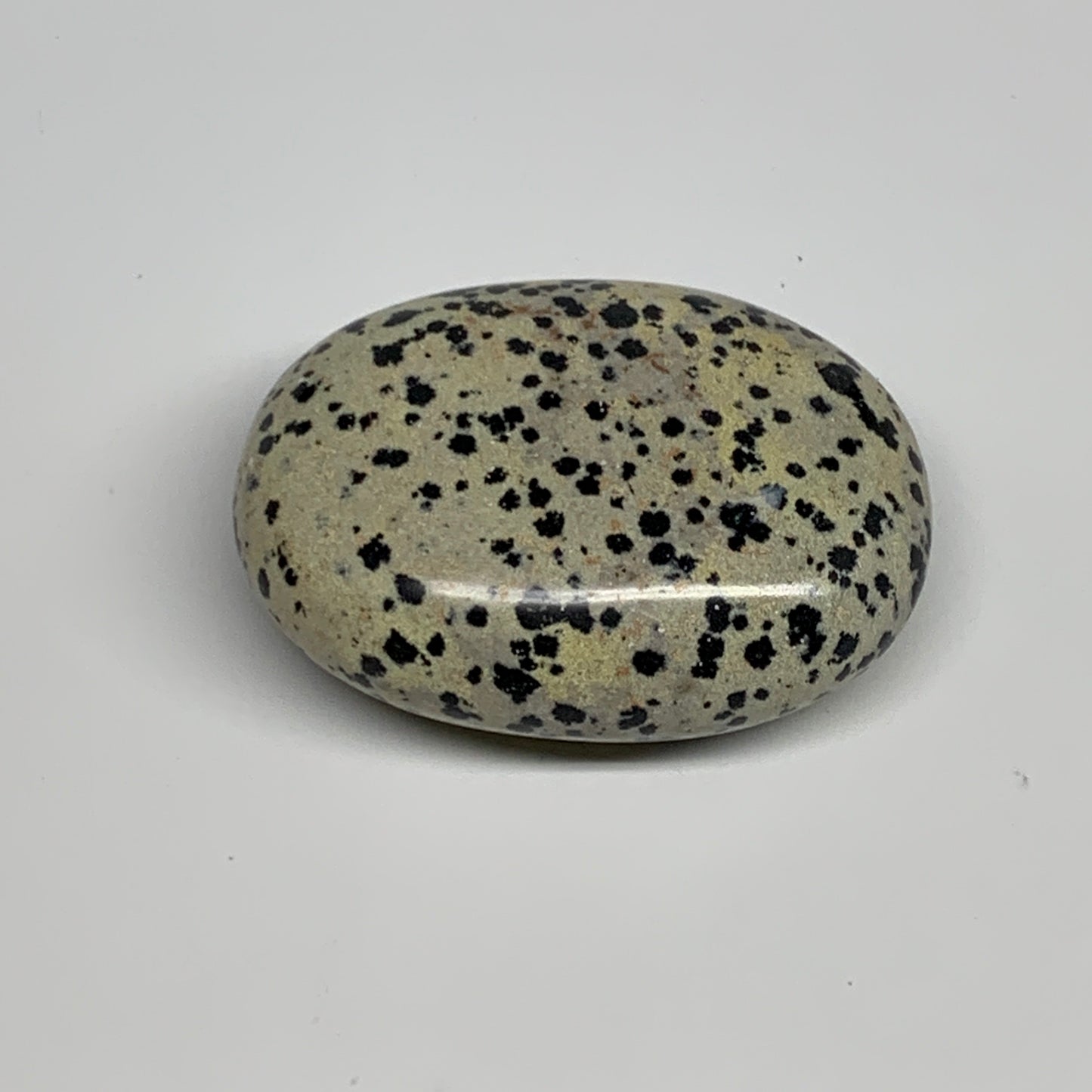 83.7g, 2.3"x1.7"x0.8", Natural Dalmatian Jasper Palm-Stone @India, B29460