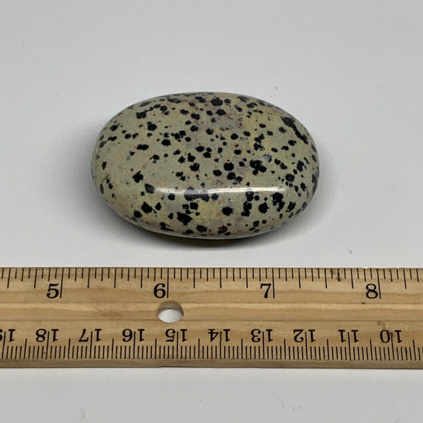 83.7g, 2.3"x1.7"x0.8", Natural Dalmatian Jasper Palm-Stone @India, B29460