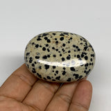 83g, 2.2"x1.7"x0.8", Natural Dalmatian Jasper Palm-Stone @India, B29461