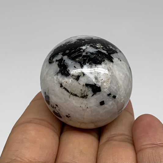 81.7g, 1.5"(39mm), Natural Rainbow Moonstone Sphere Ball Gemstone, B35153