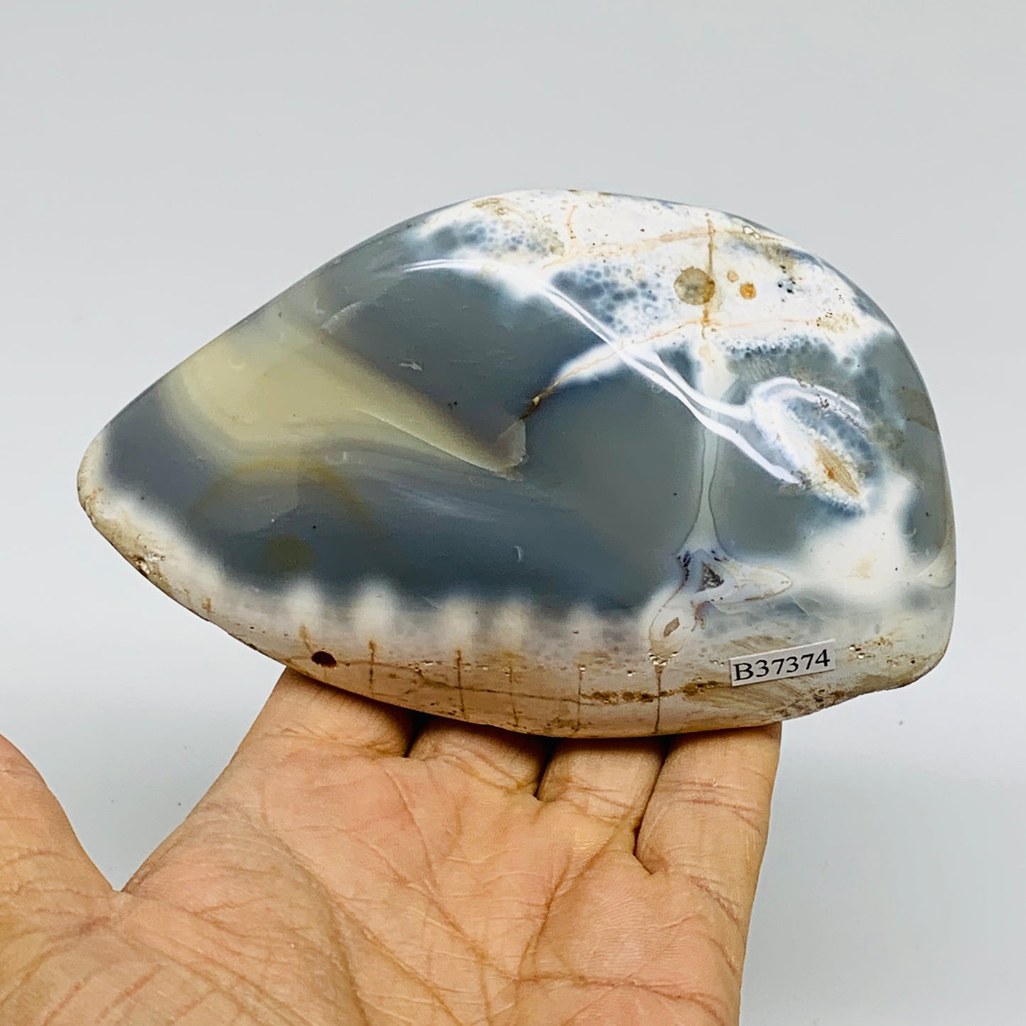 1.2 lbs, 4.7"x2.4"x2.3" Orca Agate Freeform Reiki Energy Crystal Reiki, B37374