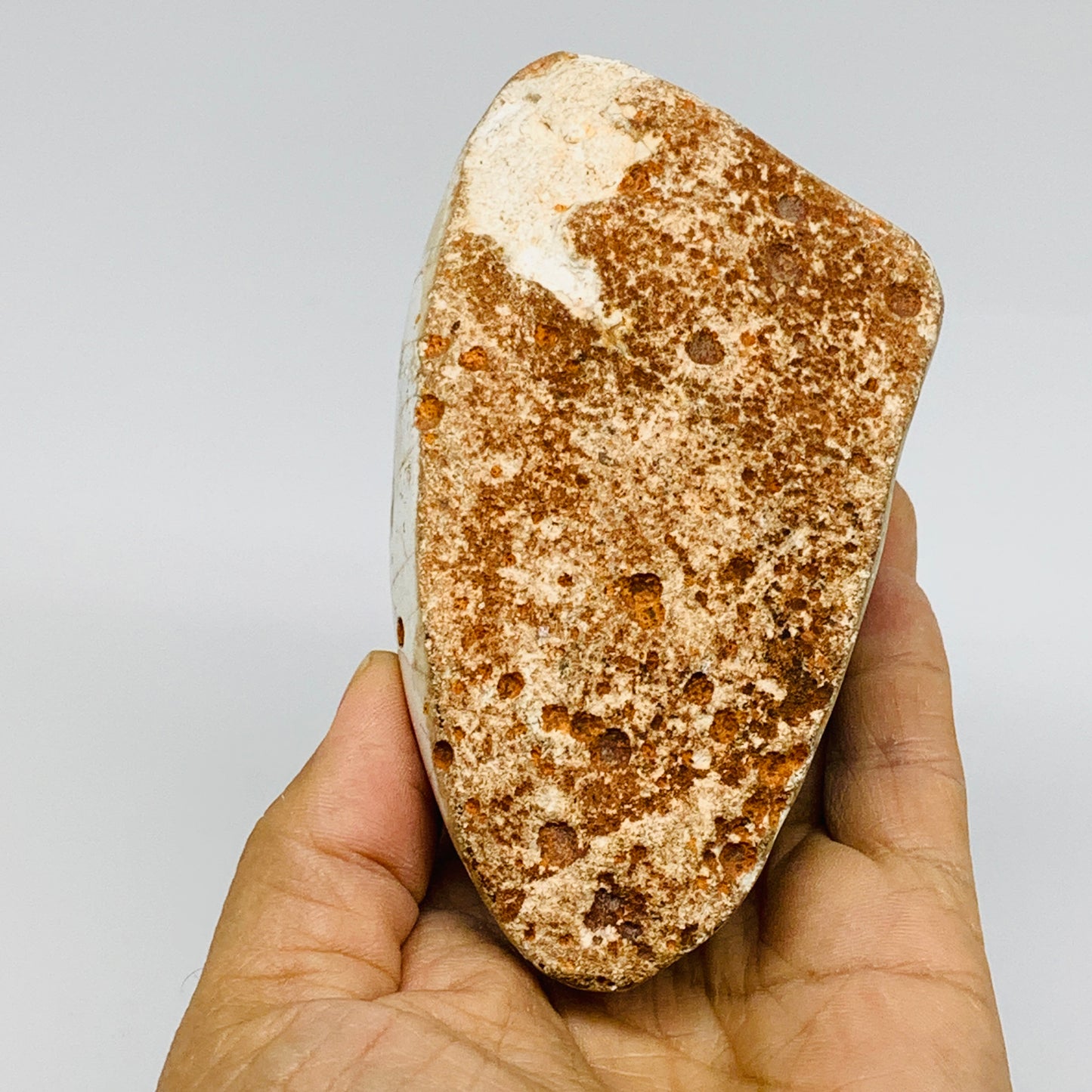 1.2 lbs, 4.7"x2.4"x2.3" Orca Agate Freeform Reiki Energy Crystal Reiki, B37374